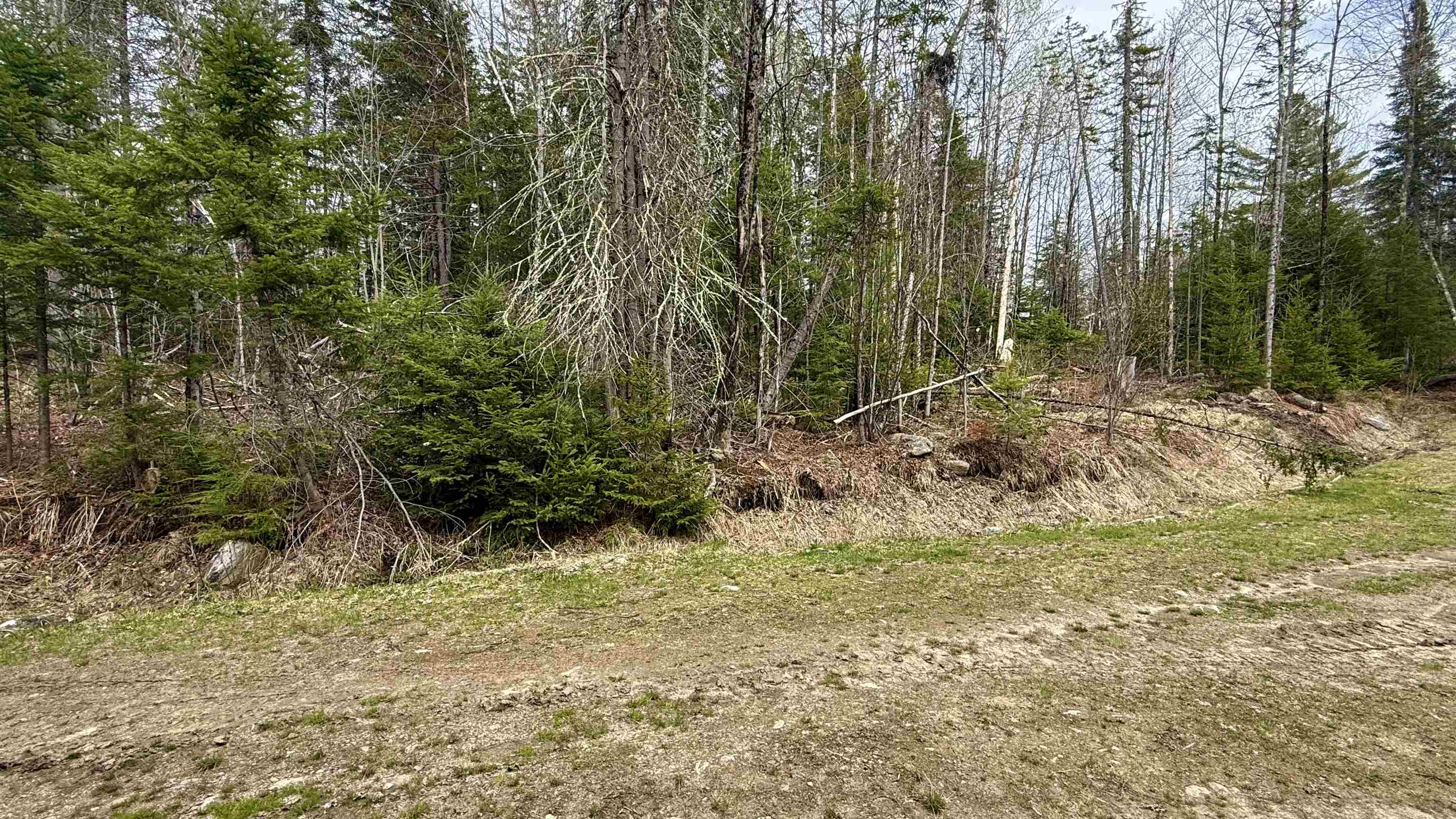227 Dukes Road Property Photo 20