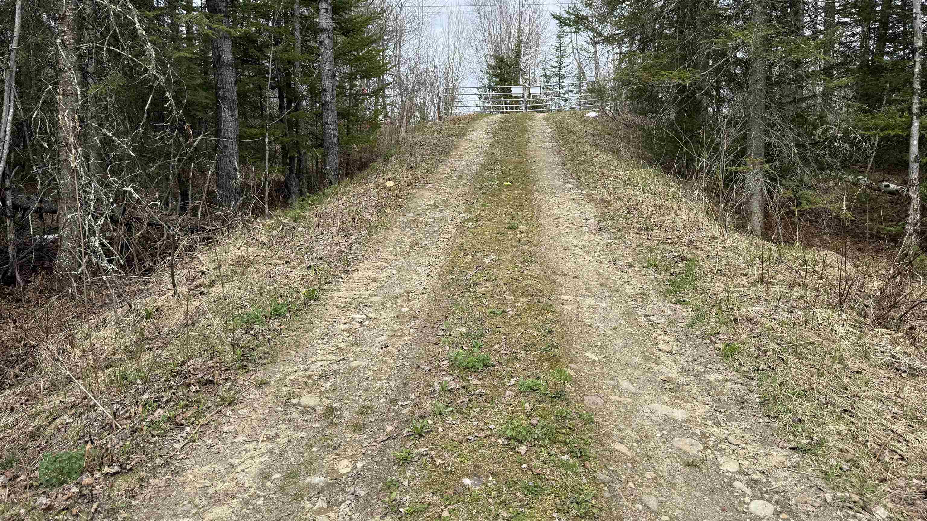227 Dukes Road Property Photo 39