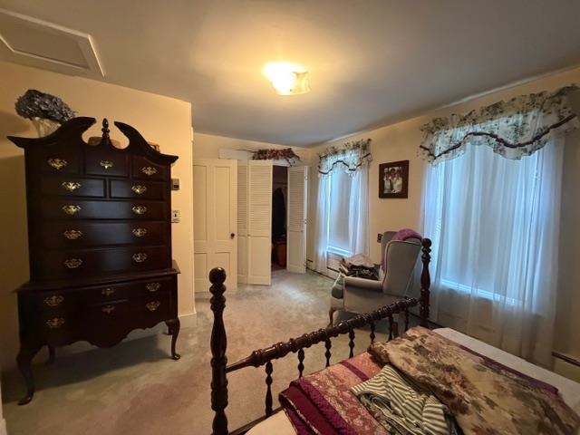 9 Mcfarland Street Property Photo 22