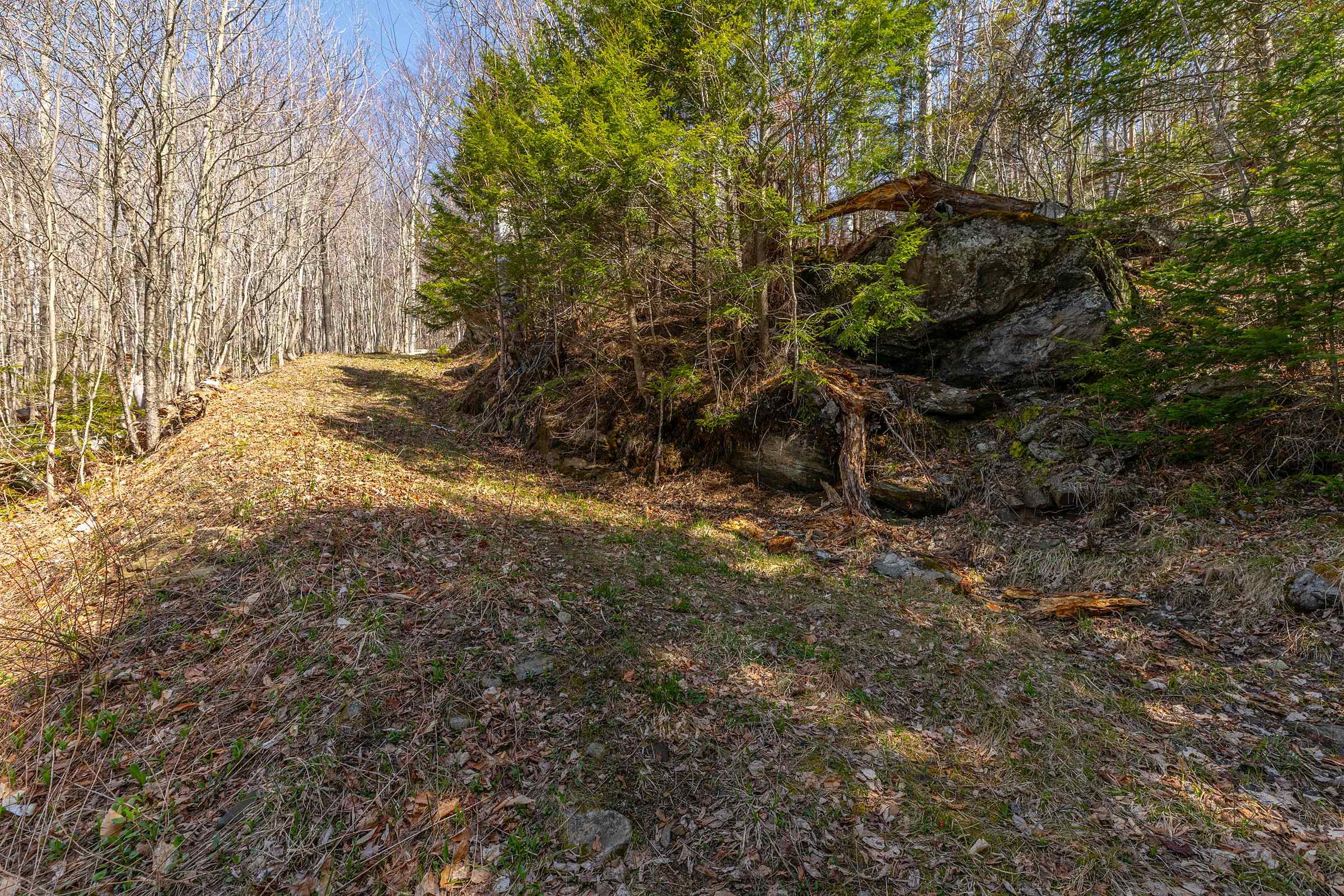 769 Straight Road Property Photo 46
