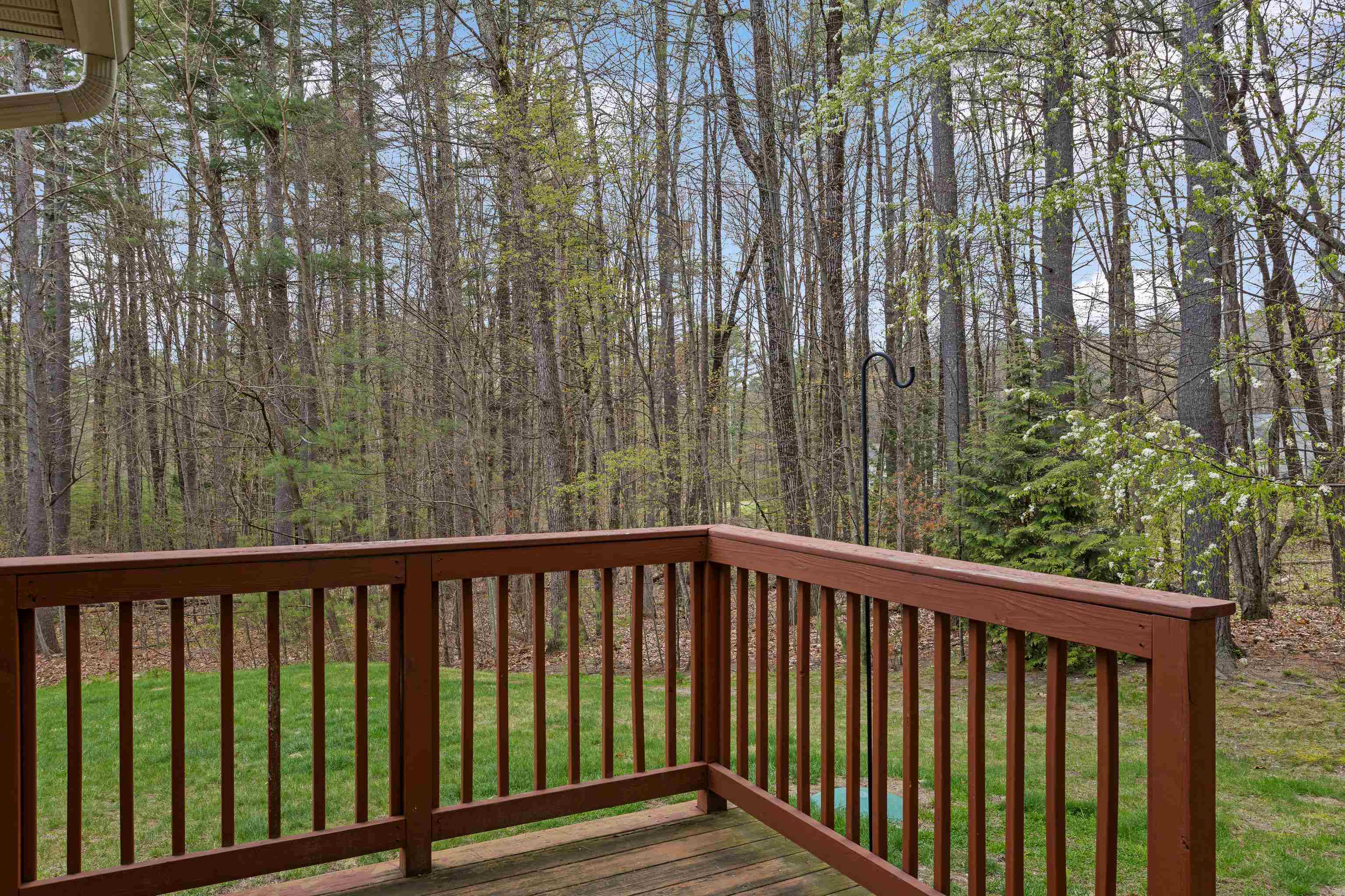 2 Scottie Way Property Photo 5