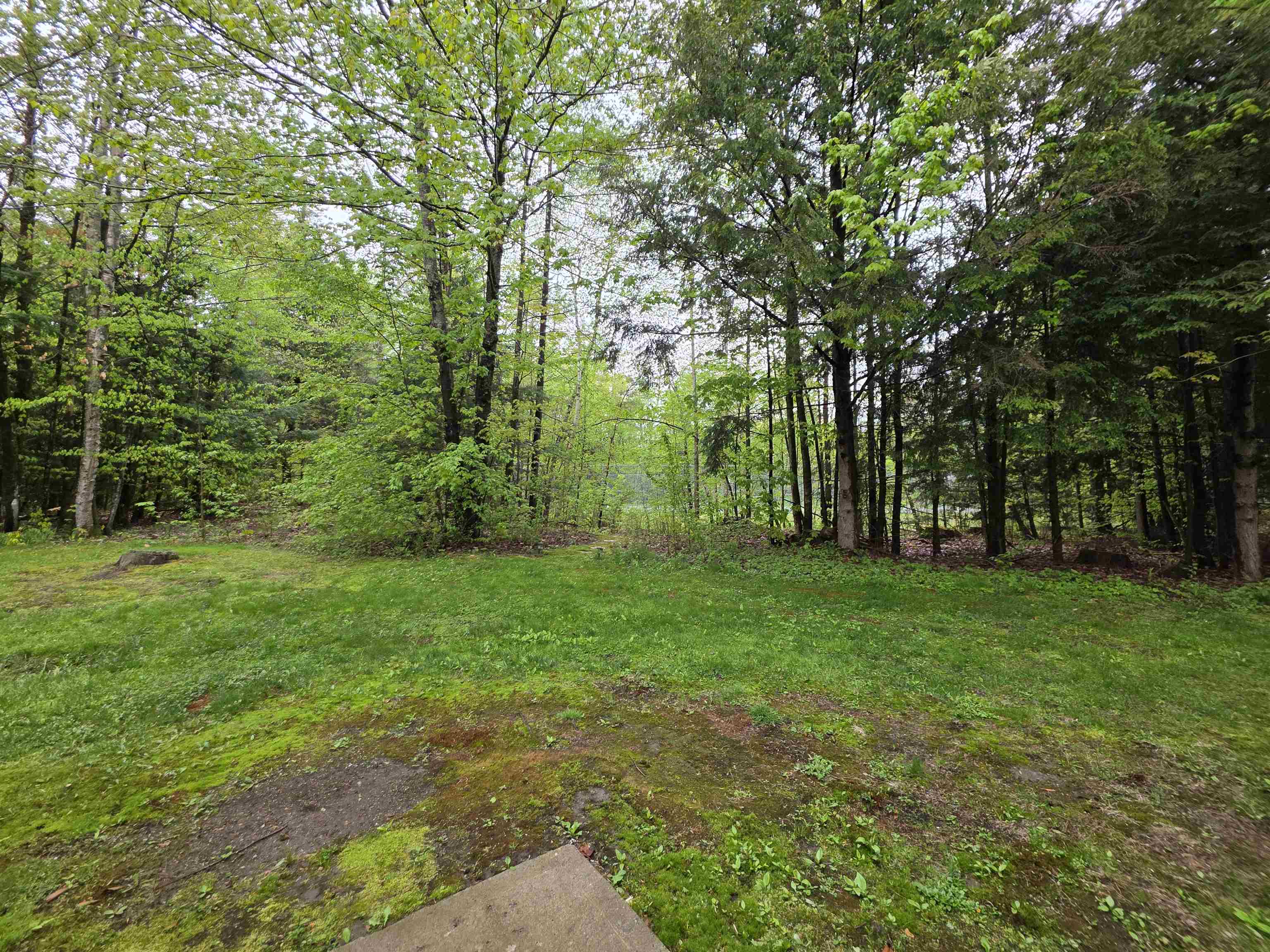48c Starbird Road Property Photo 55