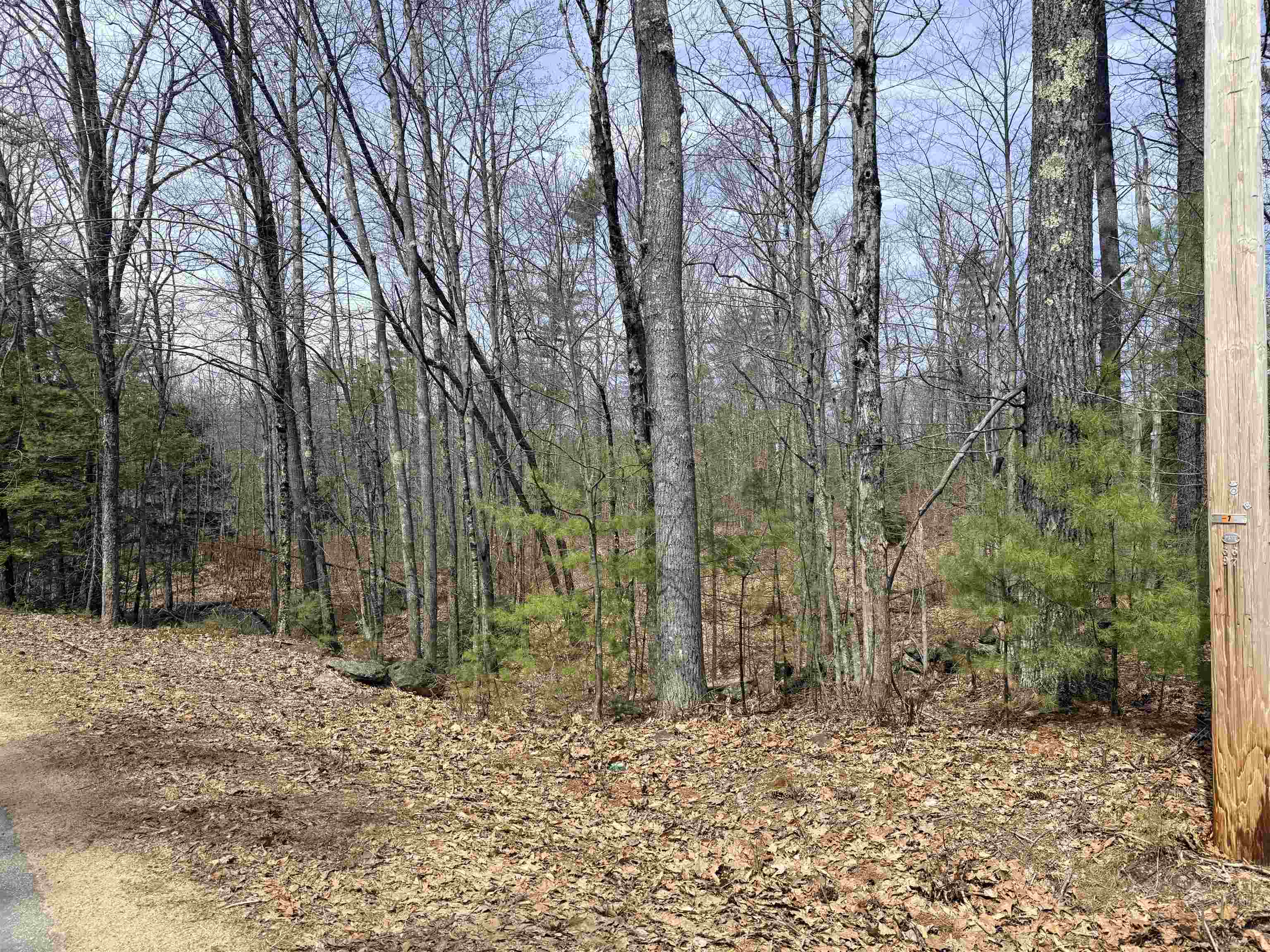 Map 208 Lot 8 Baptist Hill Road Property Photo 1