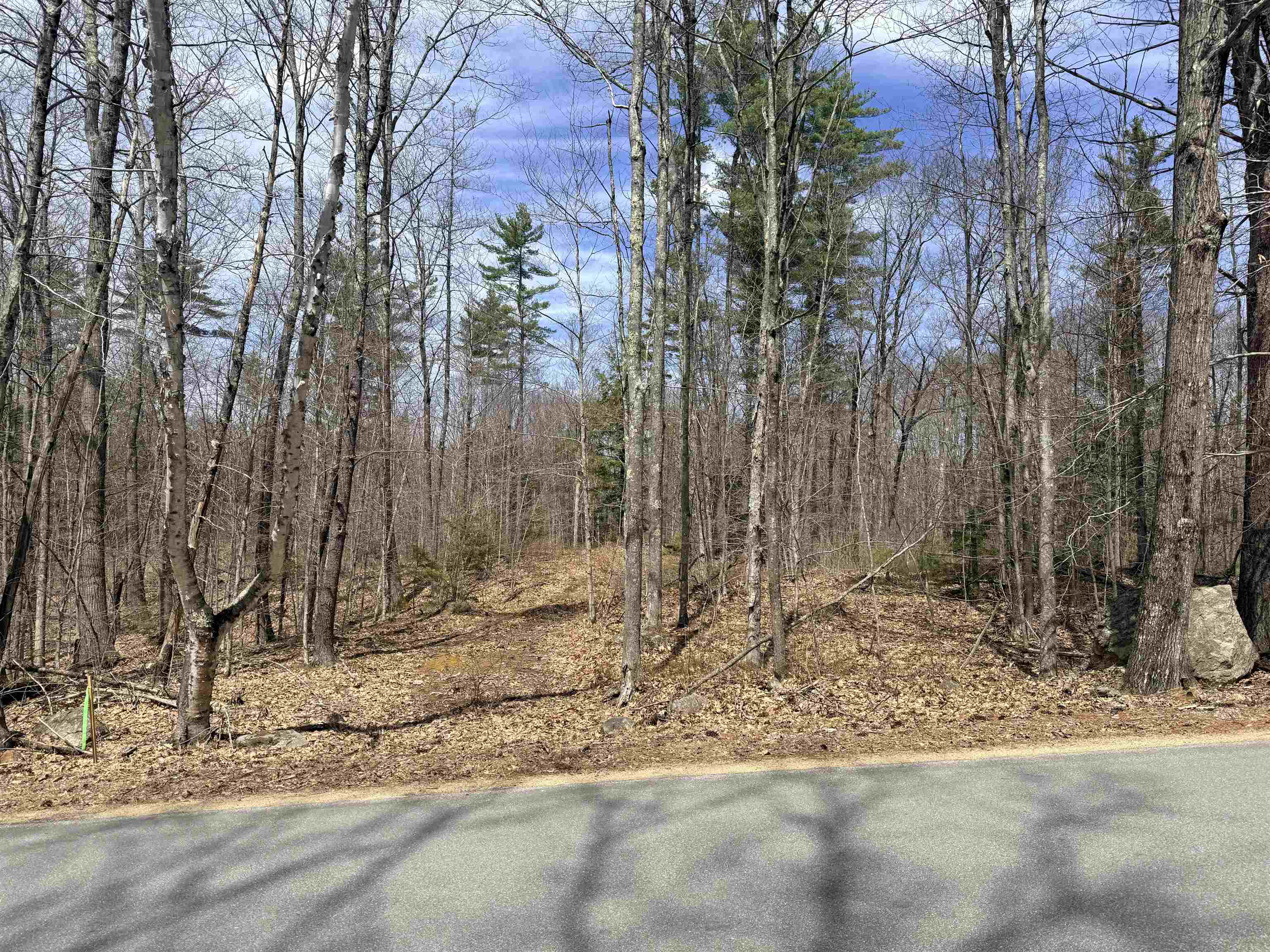 Map 208 Lot 8-1 Baptist Hill Road Property Photo 1