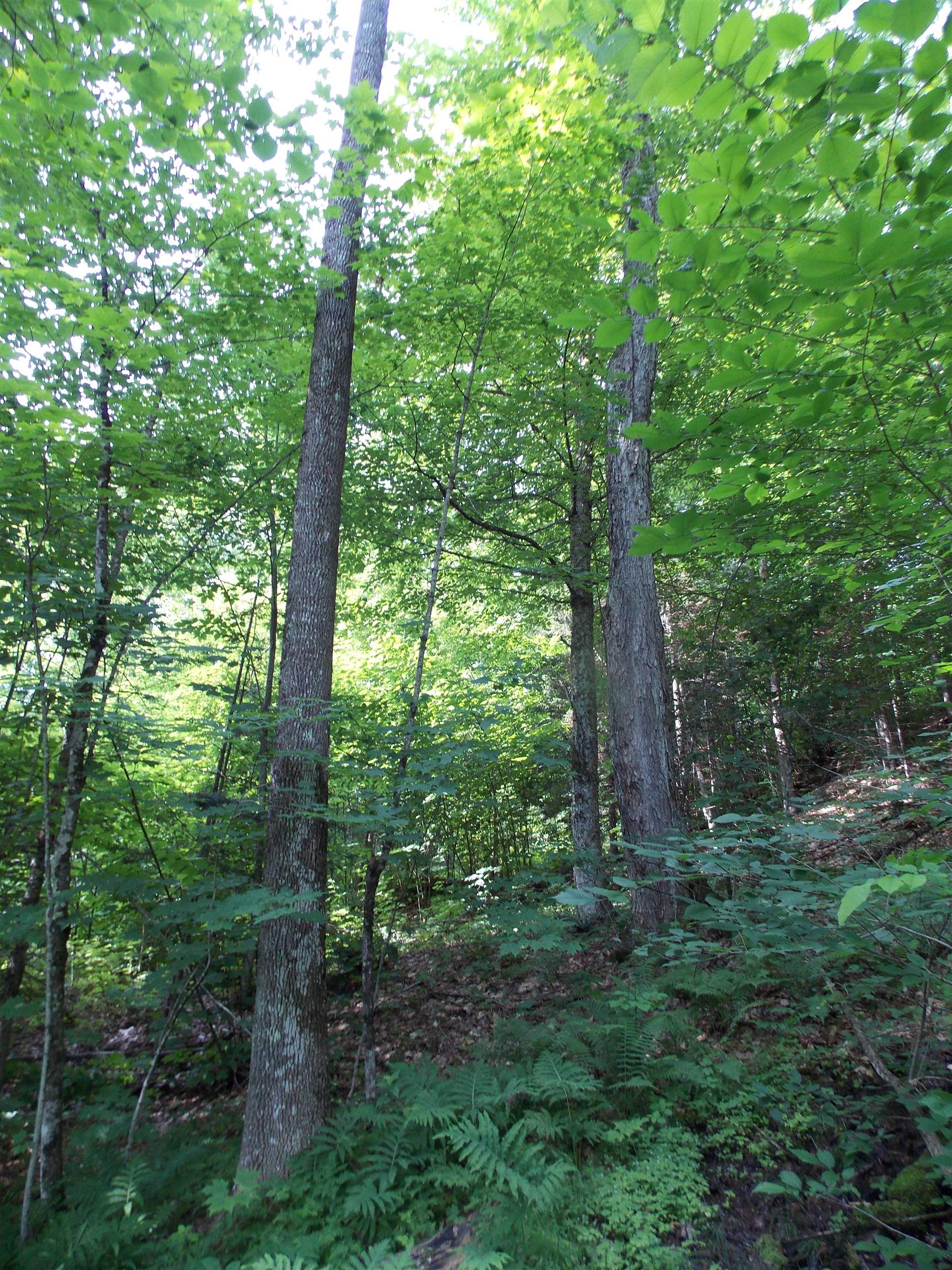 939 U.s. Route 5 Property Photo 17