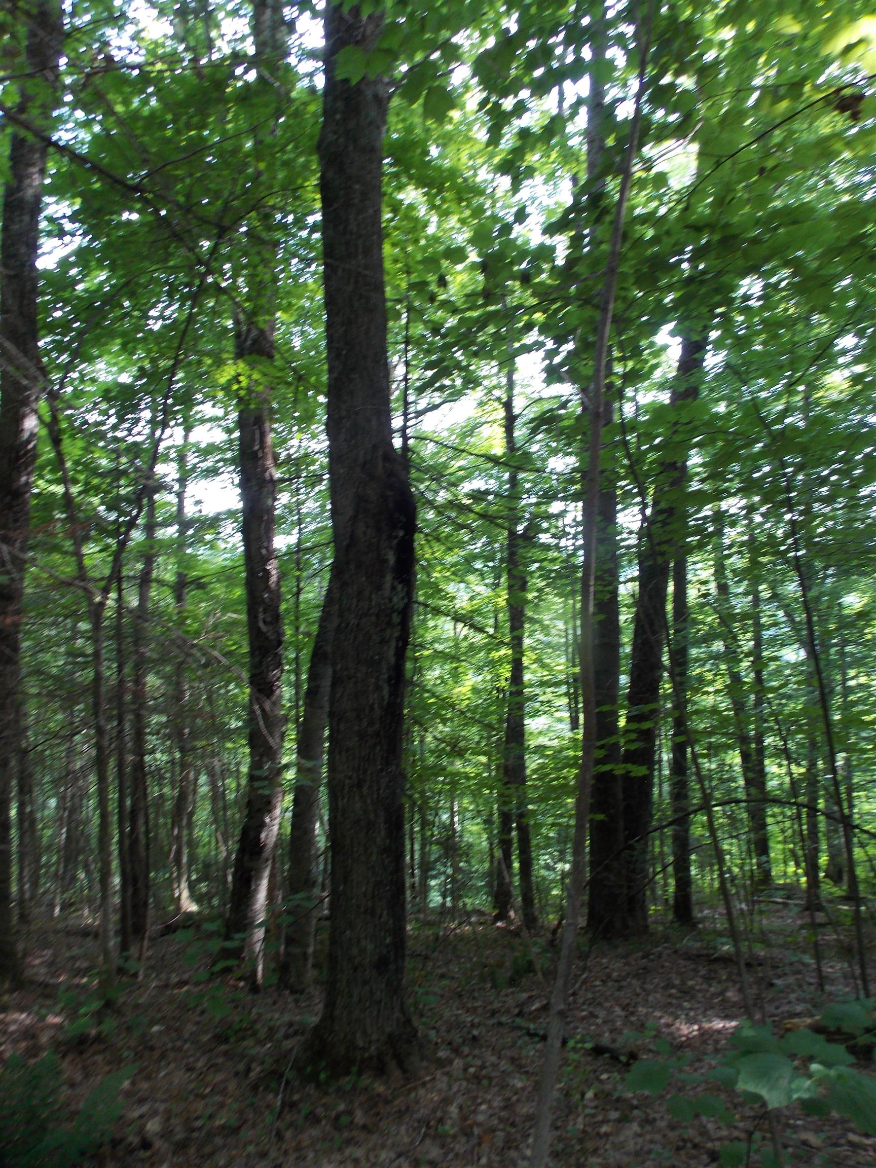 939 U.s. Route 5 Property Photo 18