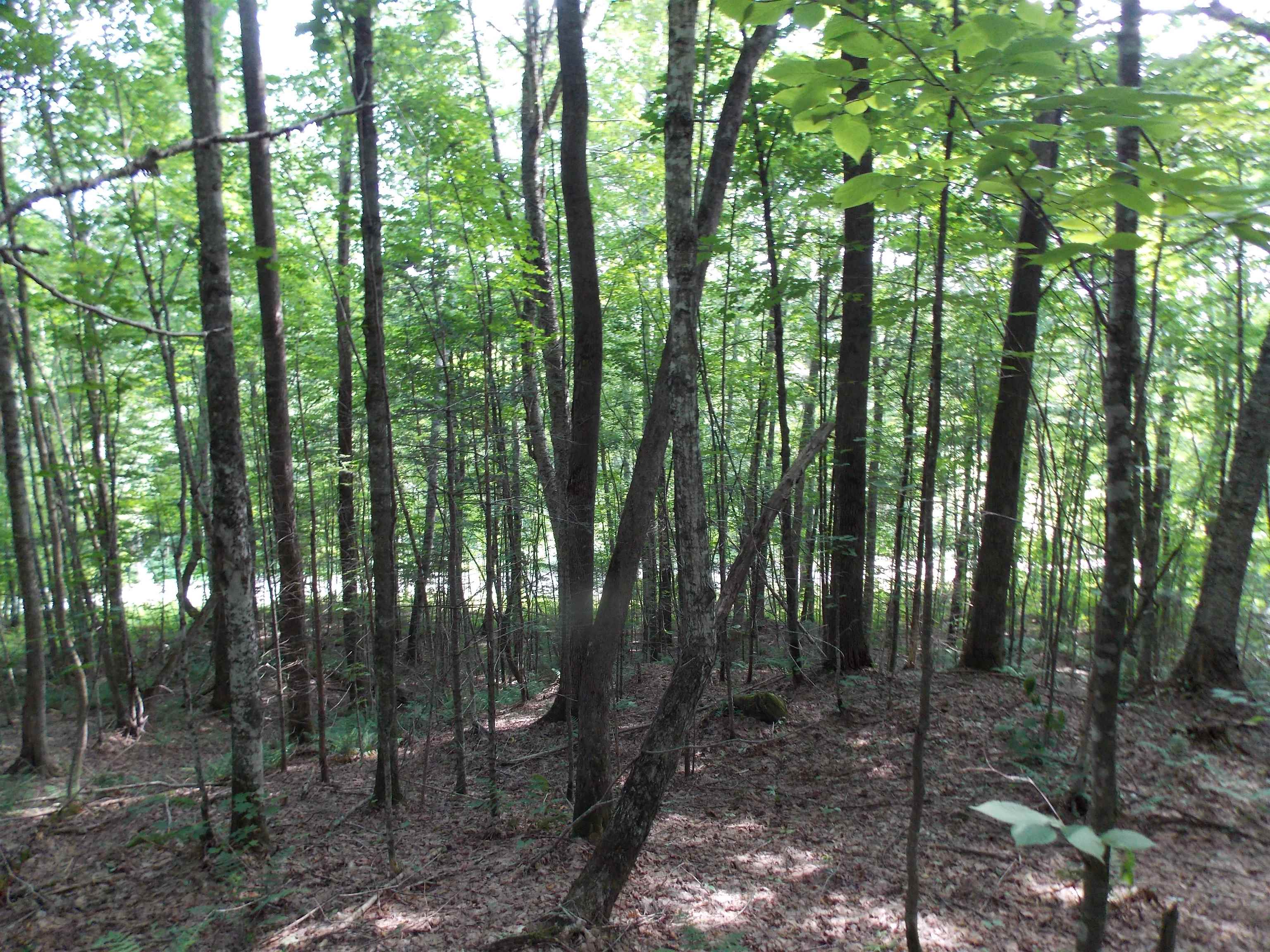 939 U.s. Route 5 Property Photo 19