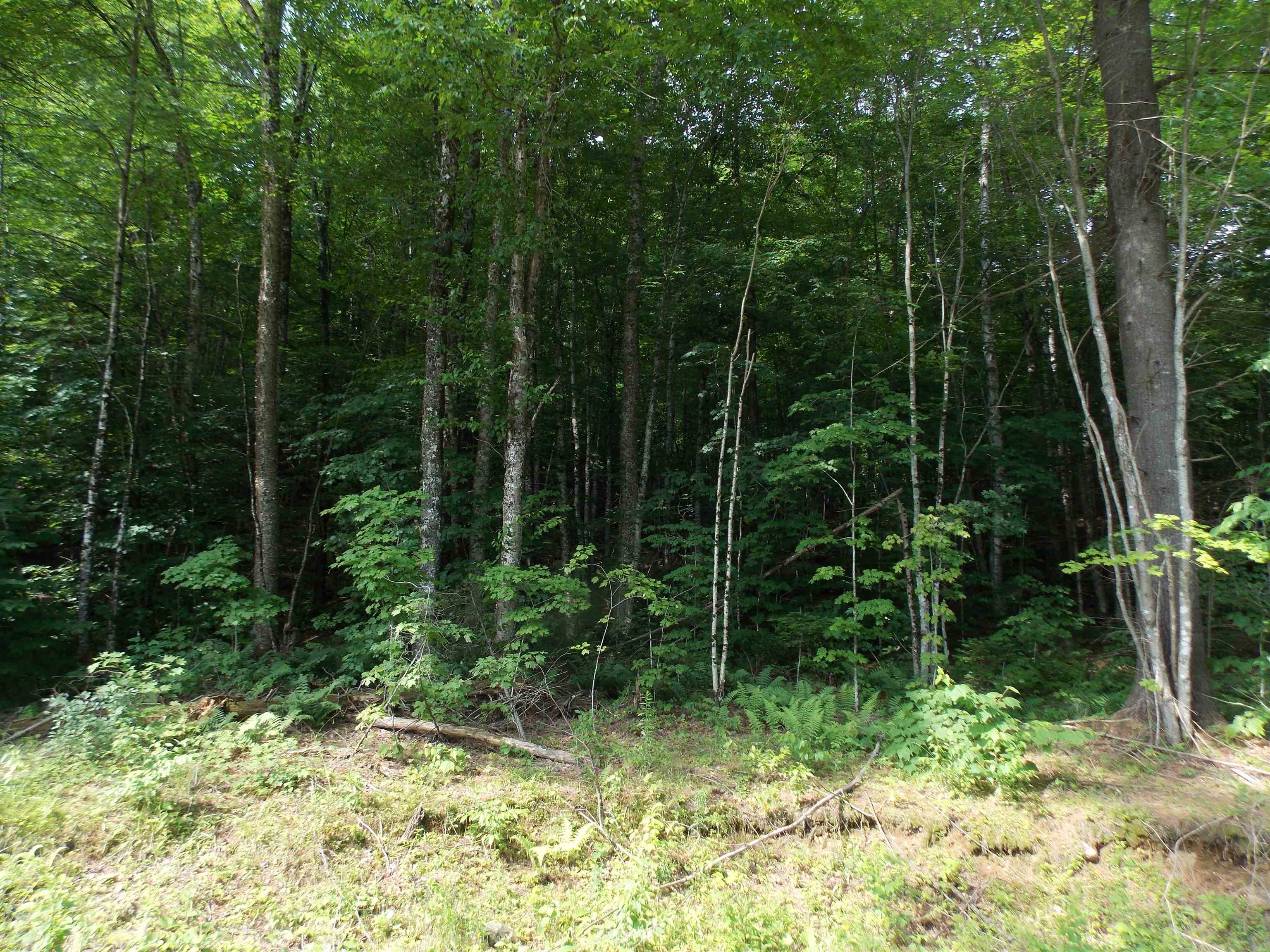 939 U.s. Route 5 Property Photo 20