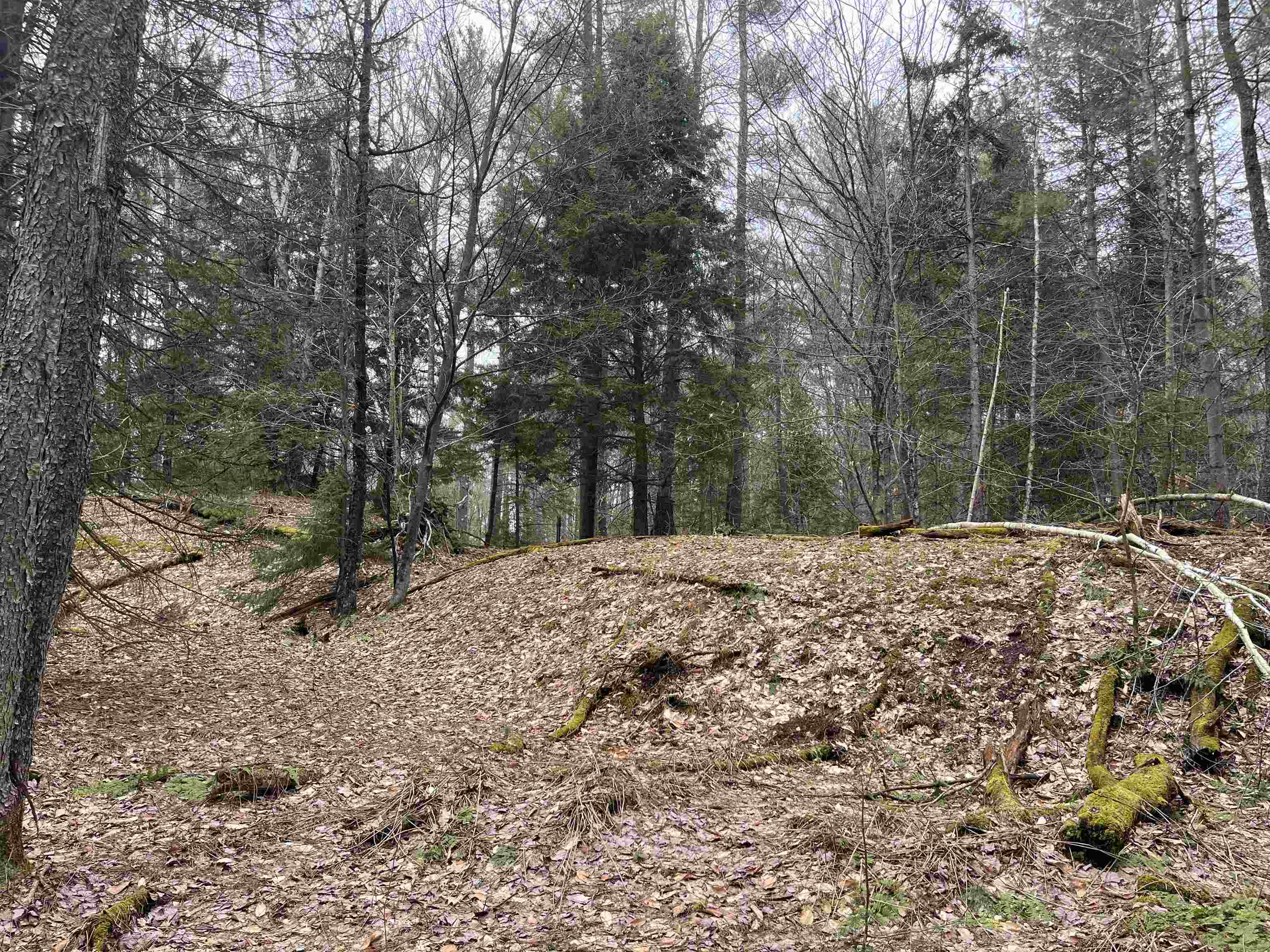 Lot 5 Haley Drive Property Photo 3