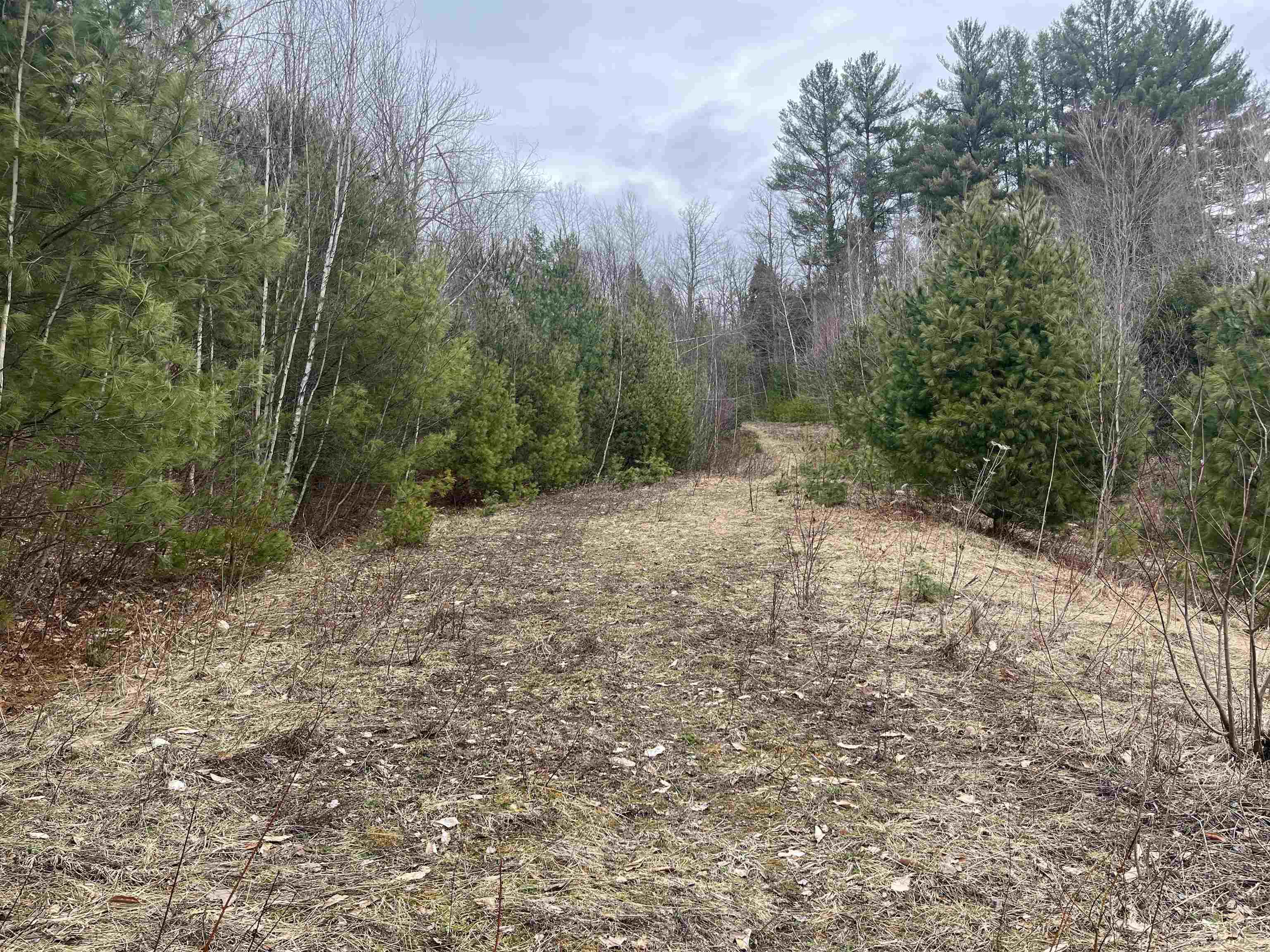 Lot 5 Haley Drive Property Photo 5