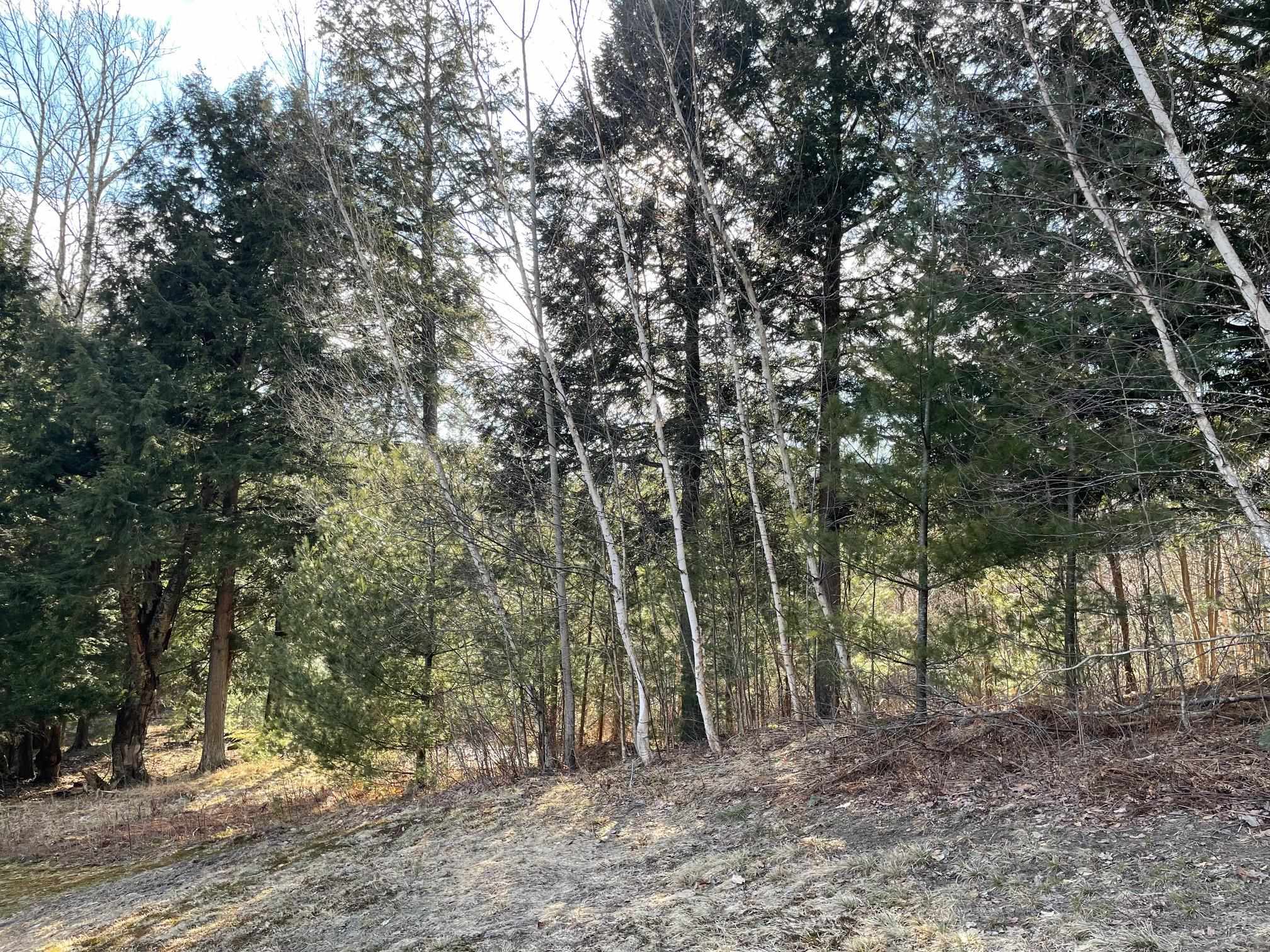 Lot 5 Haley Drive Property Photo 14
