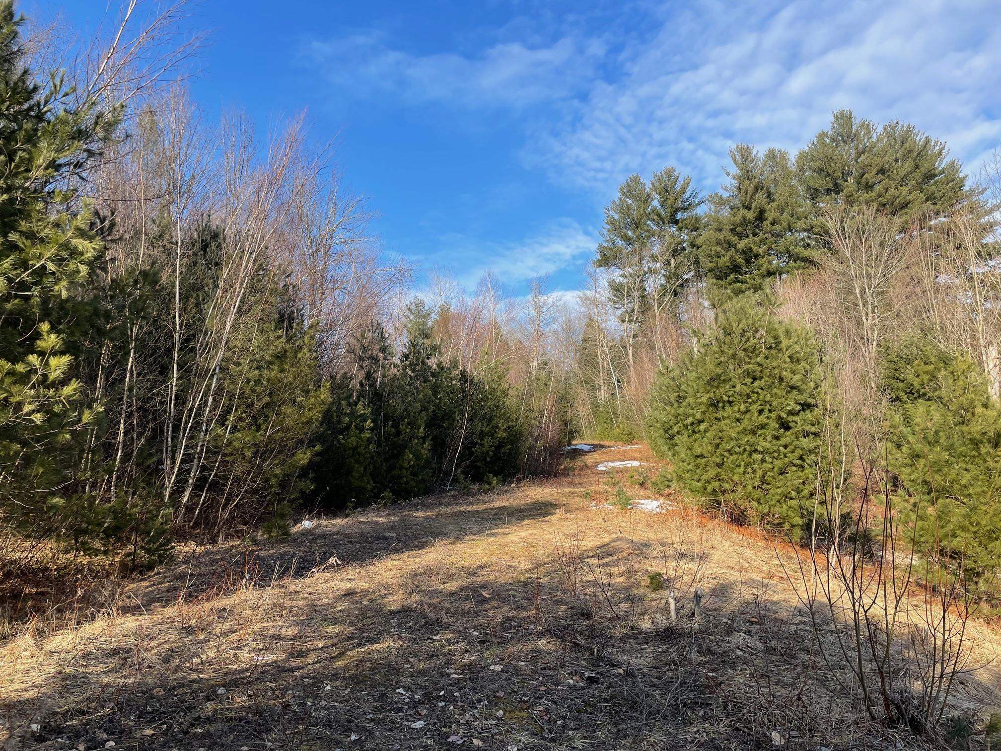 Lot 5 Haley Drive Property Photo 15