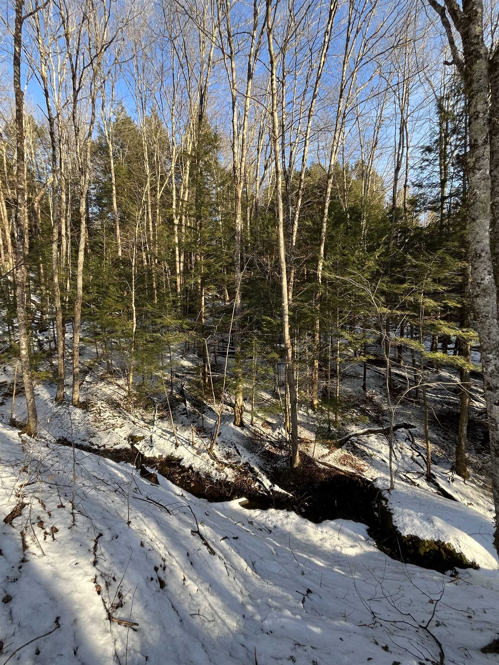 Lot 5 Haley Drive Property Photo 18