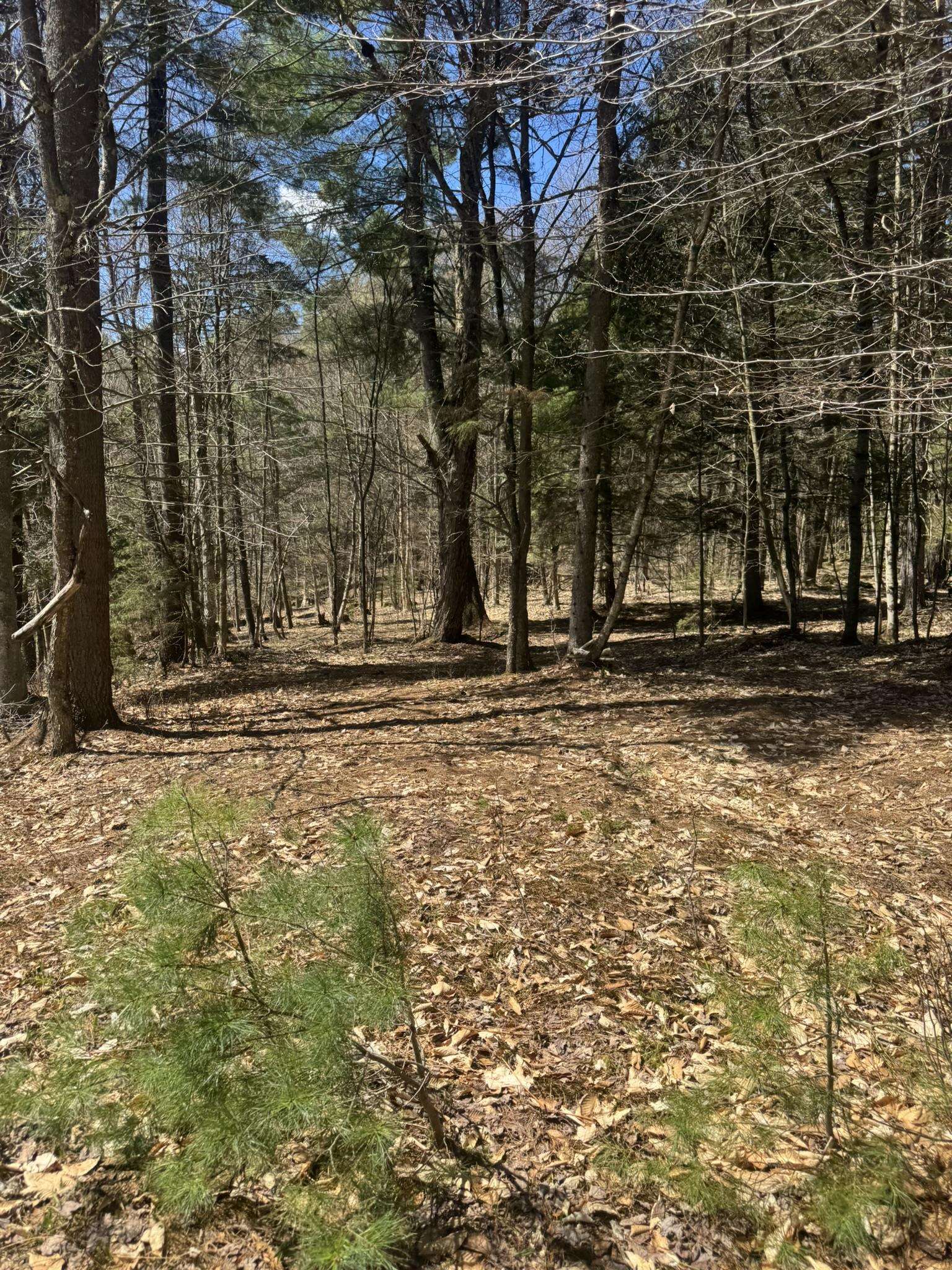 Lot 5 Haley Drive Property Photo 20