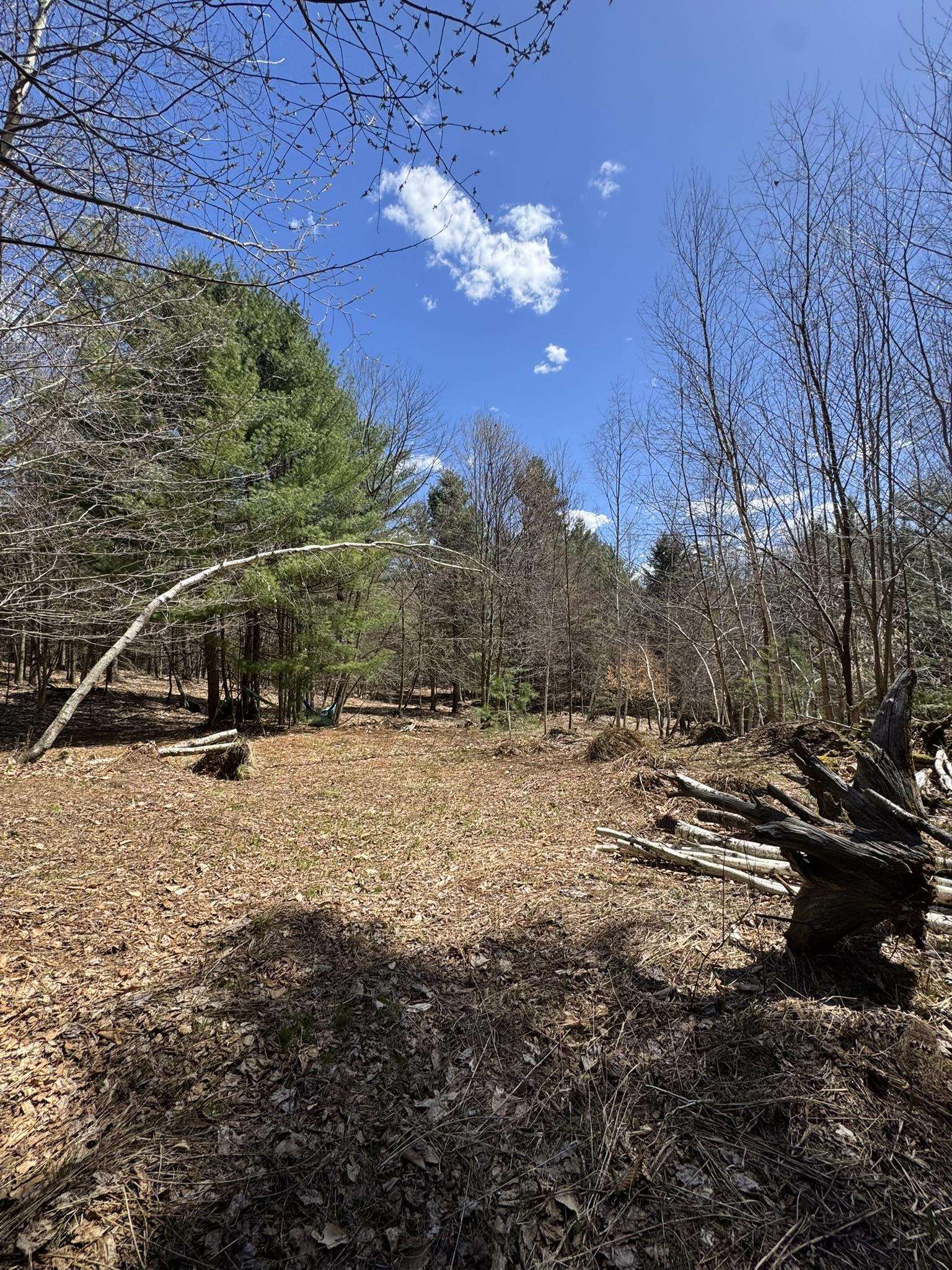 Lot 5 Haley Drive Property Photo 23
