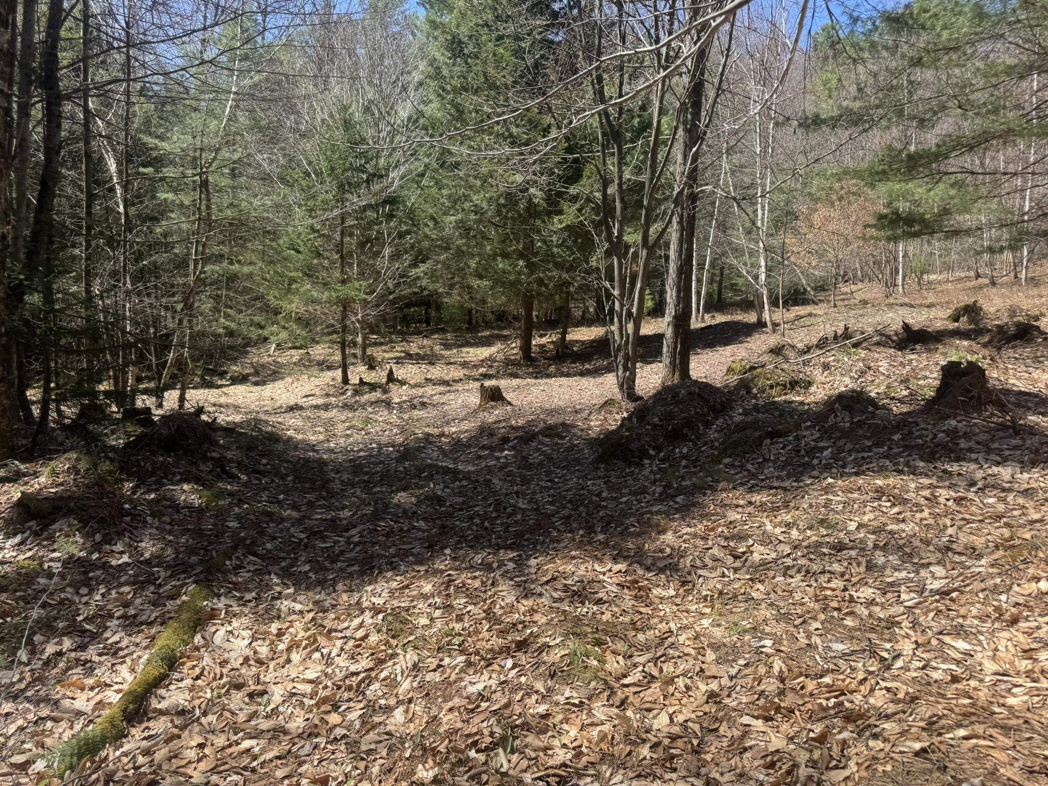 Lot 5 Haley Drive Property Photo 24