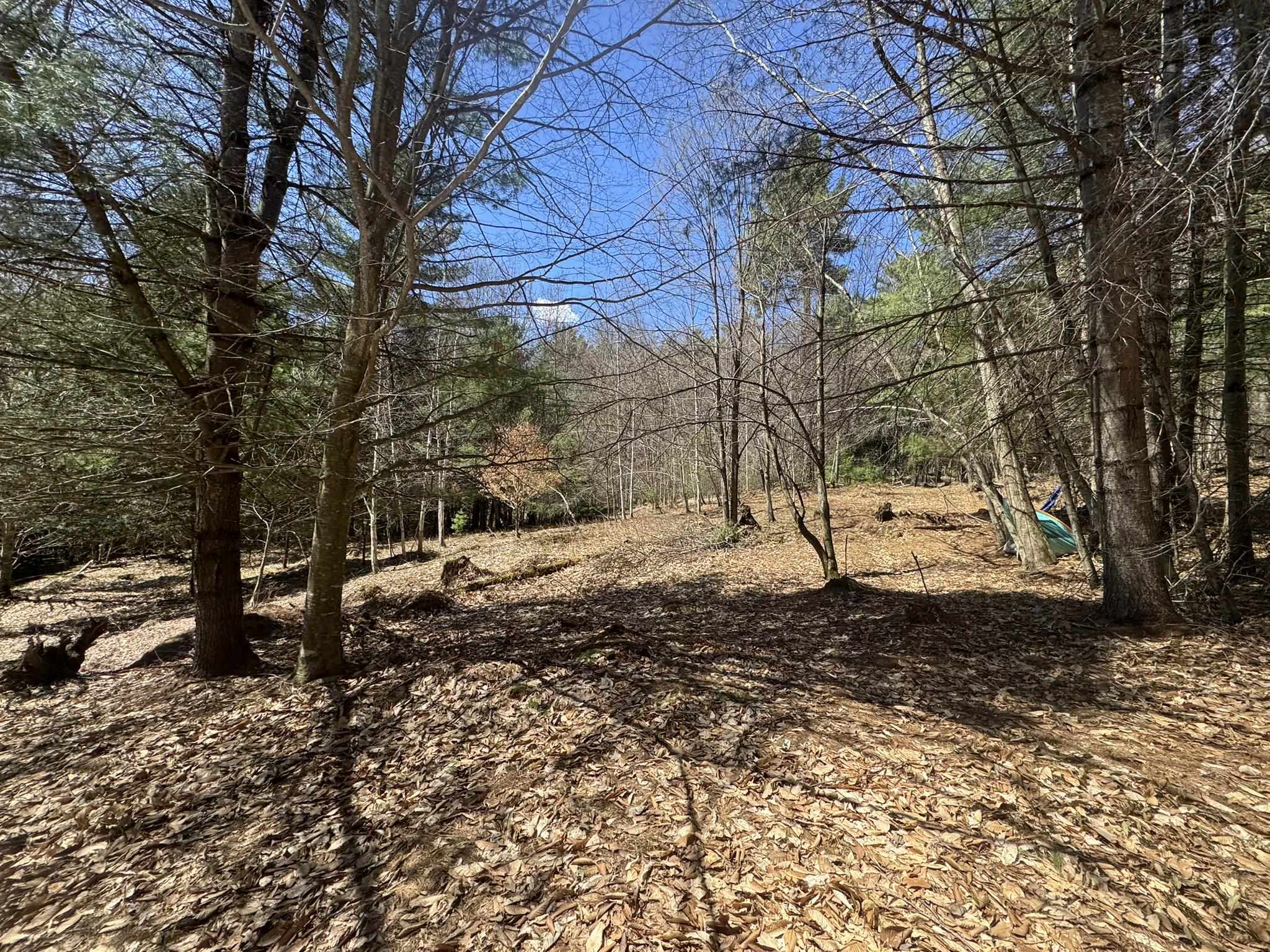 Lot 5 Haley Drive Property Photo 25