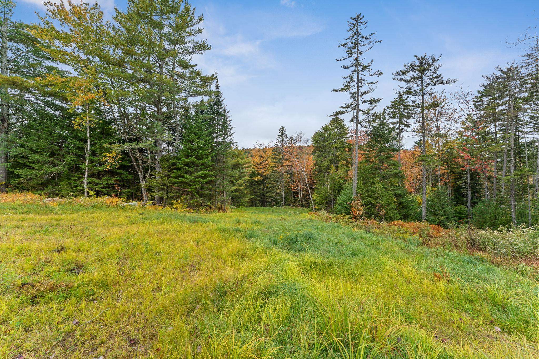 335 Calais Road Property Photo 16