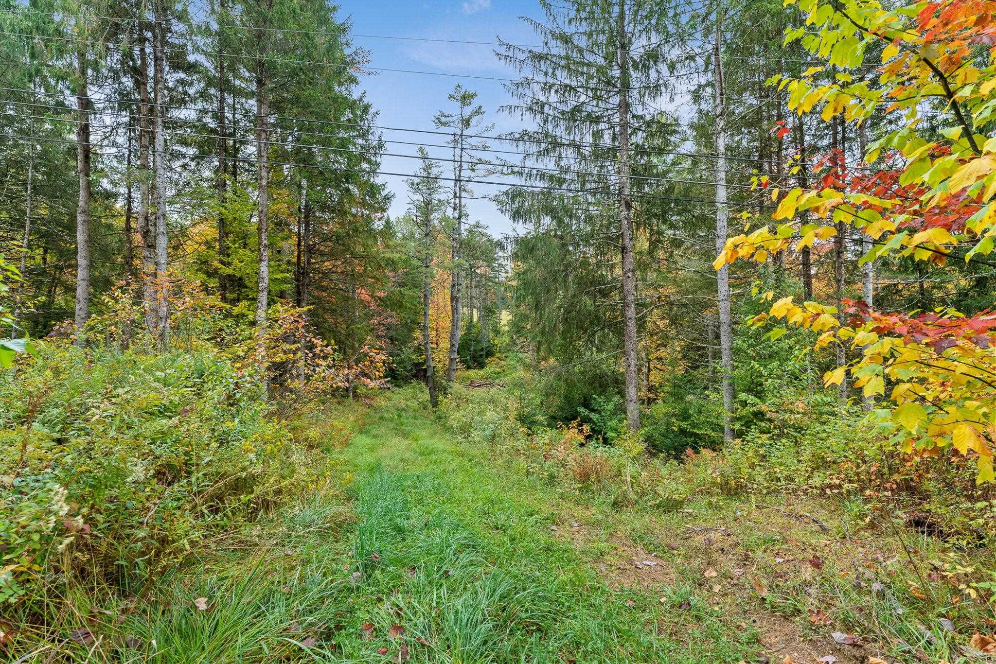 335 Calais Road Property Photo 17