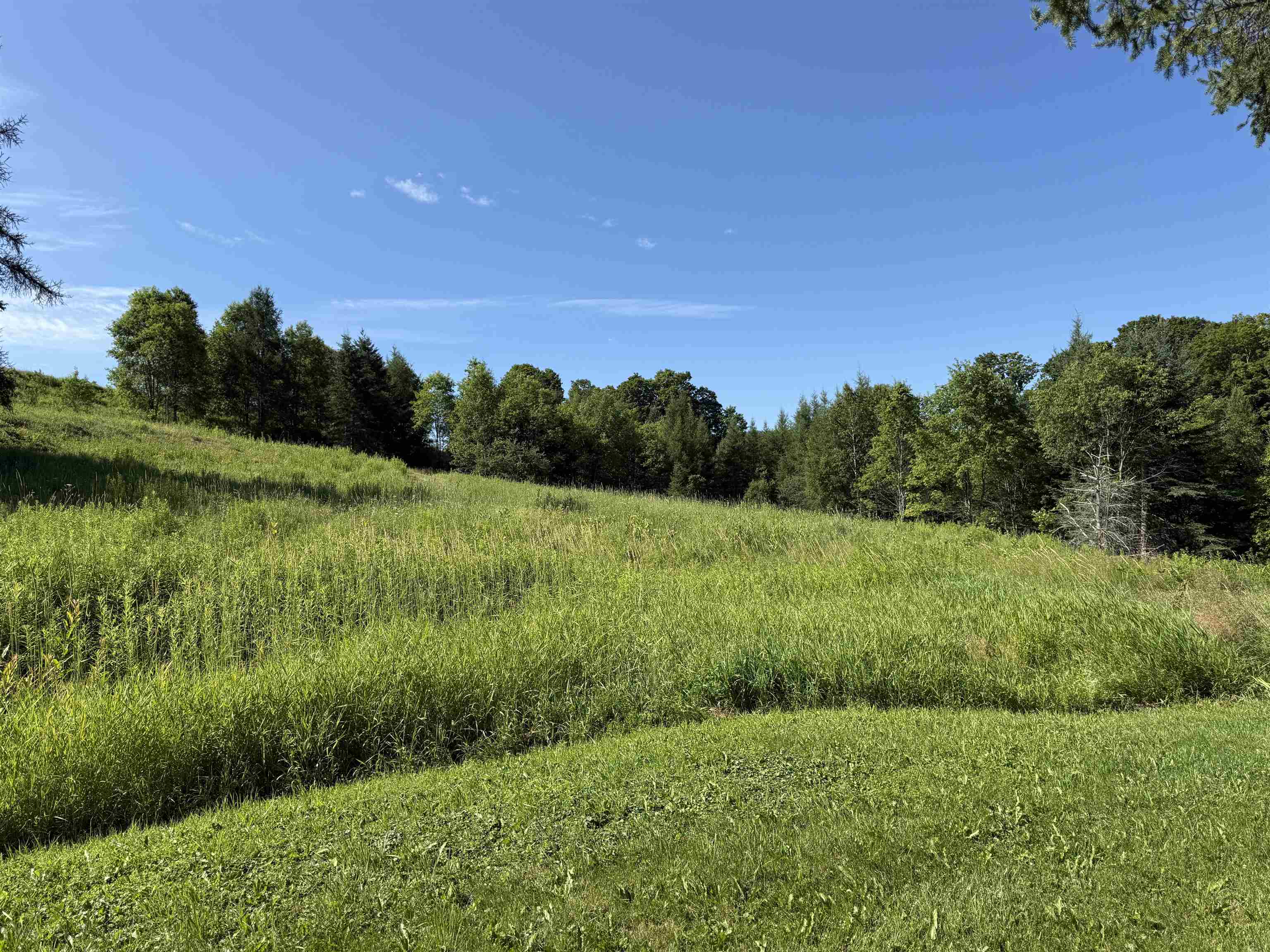 246 Gray Road Property Photo 3