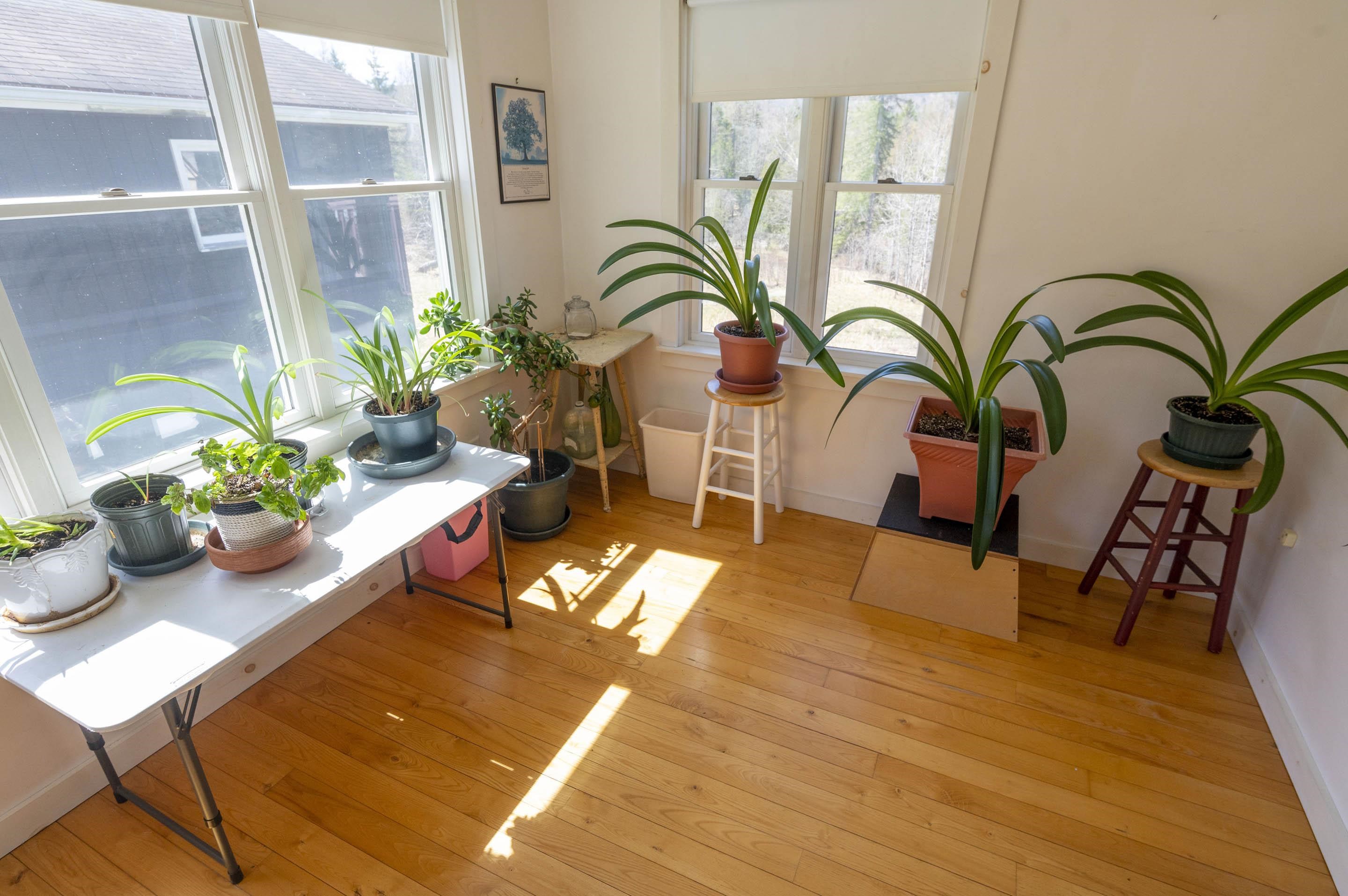 246 Gray Road Property Photo 17