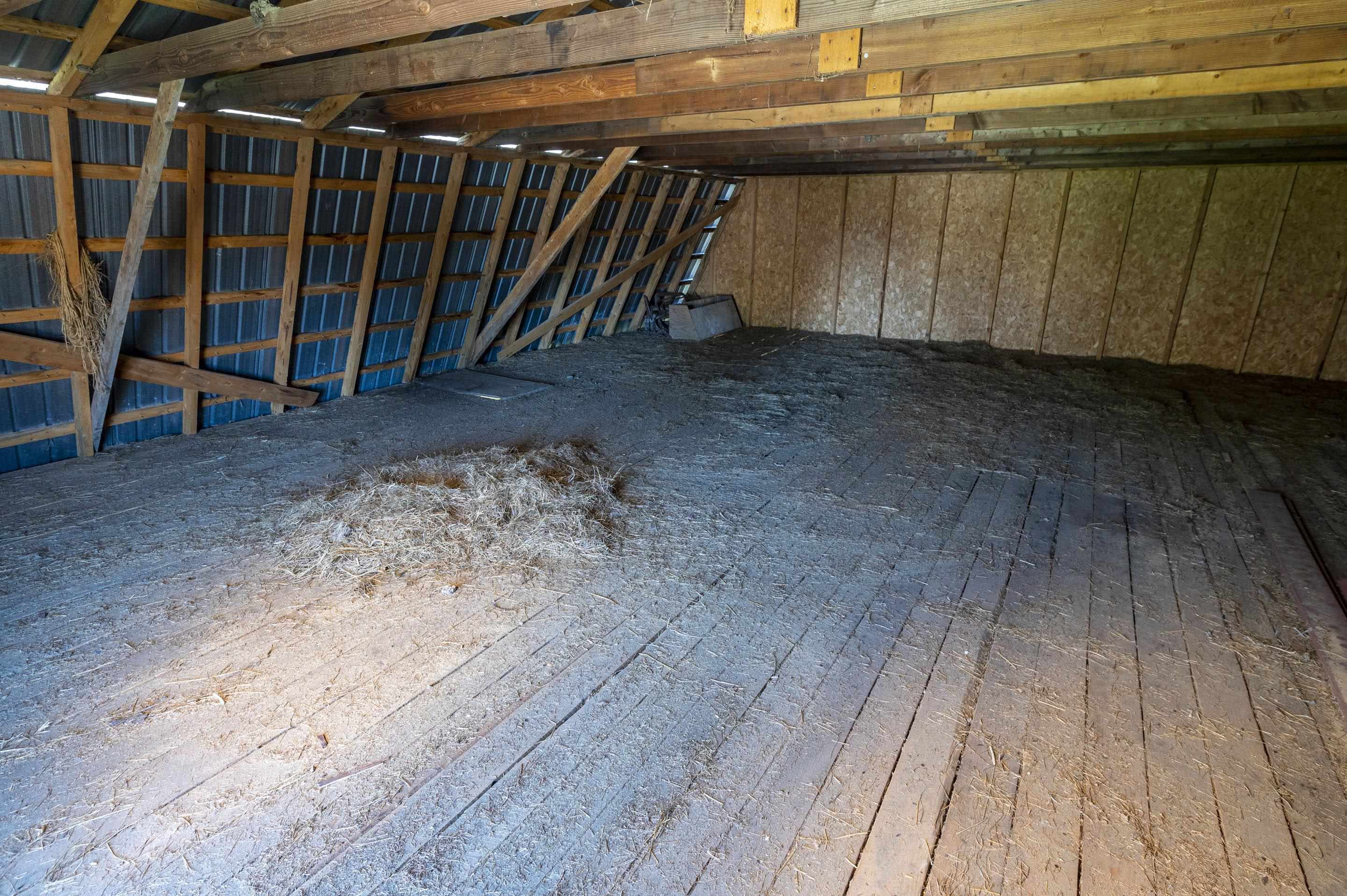 246 Gray Road Property Photo 44