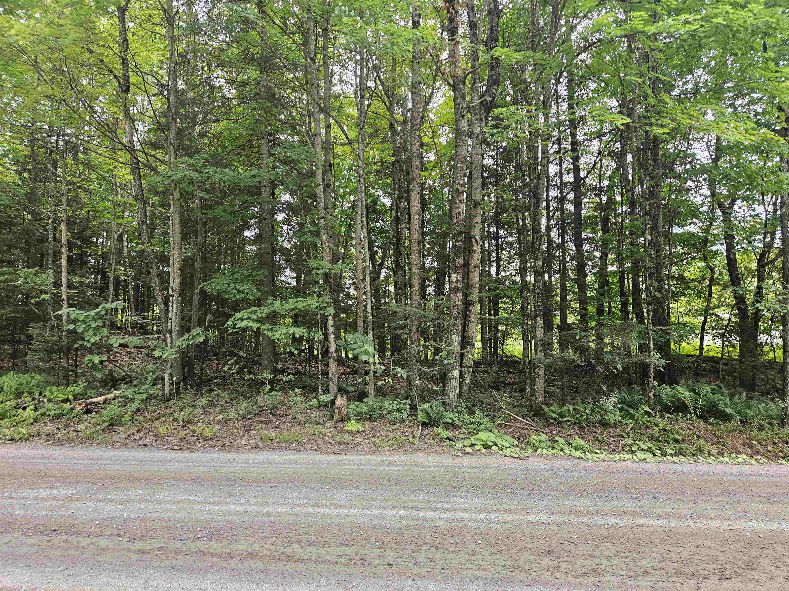 413 Pettyboro Road Property Photo 3