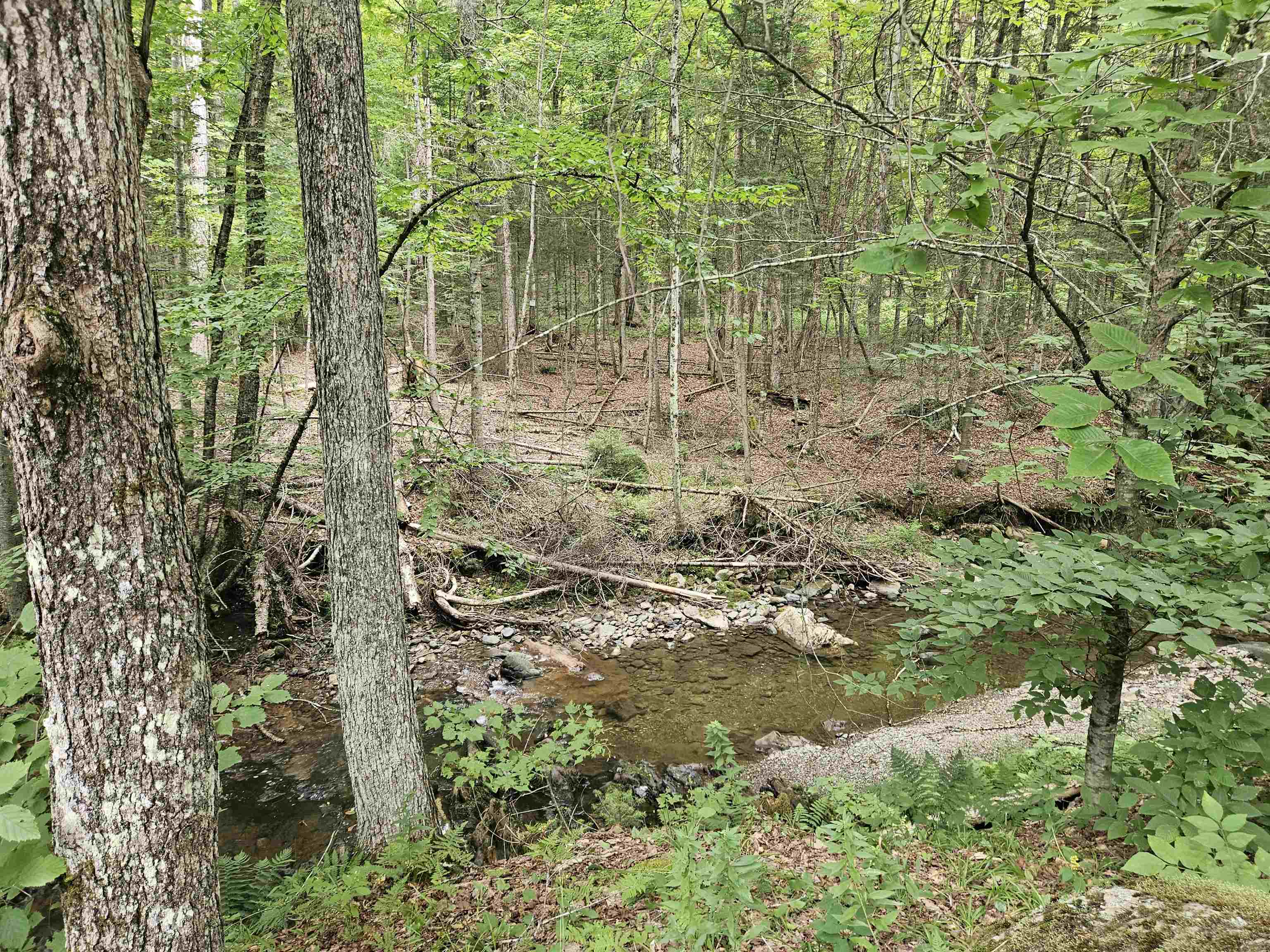 413 Pettyboro Road Property Photo 4