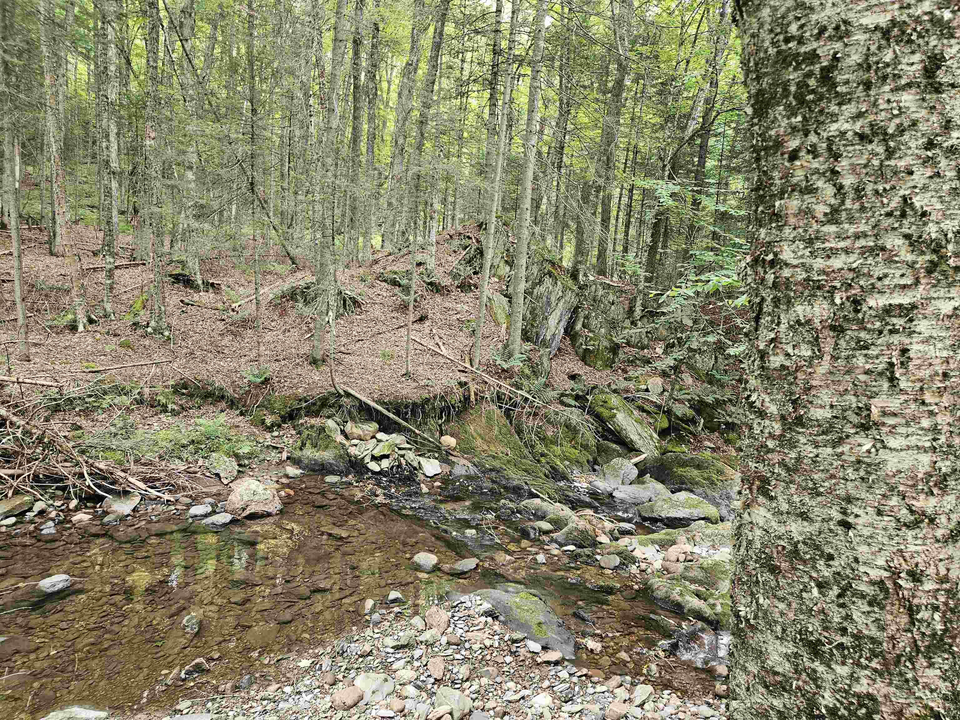 413 Pettyboro Road Property Photo 6