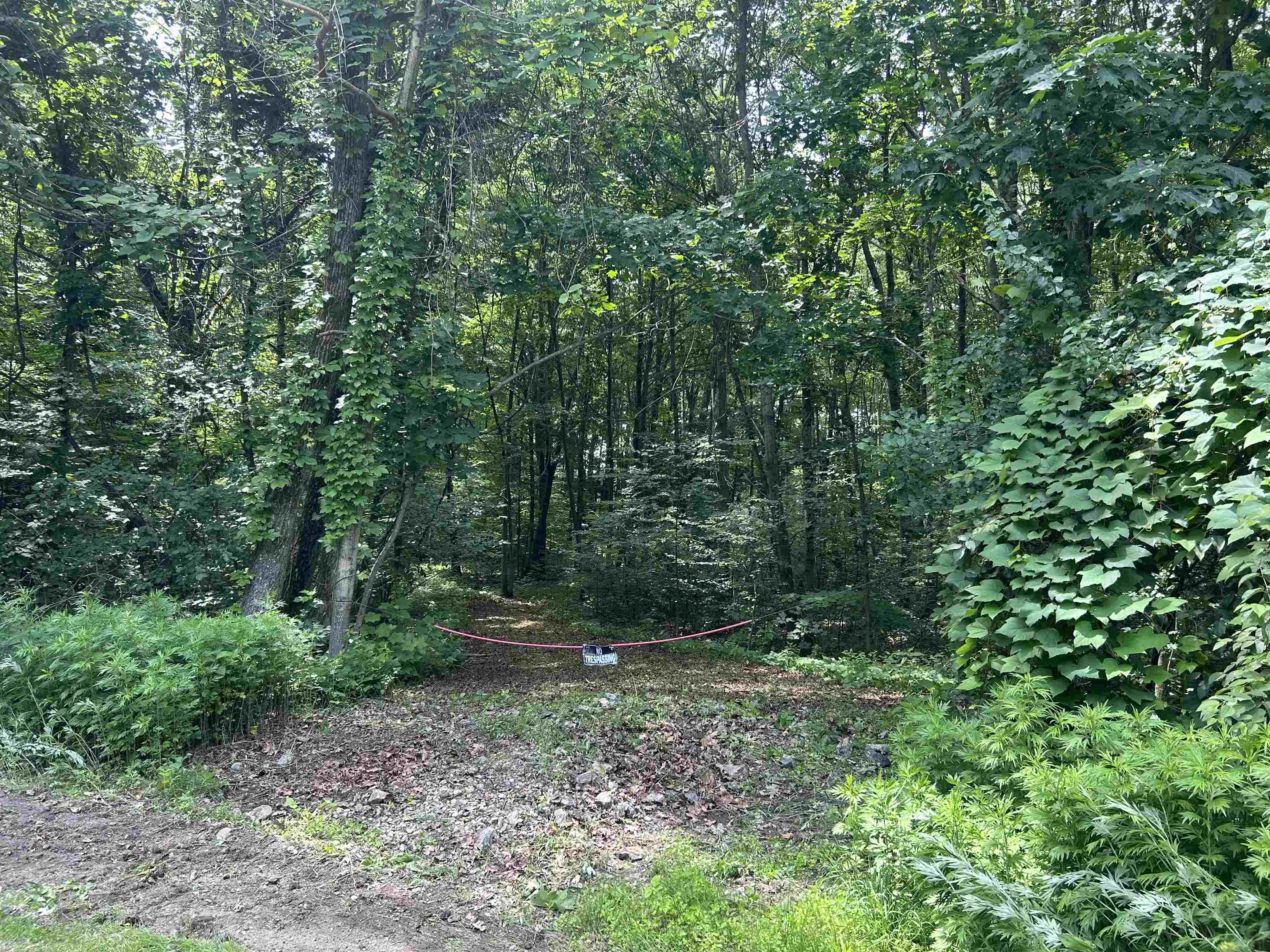 244 Mountain Road Property Photo 4