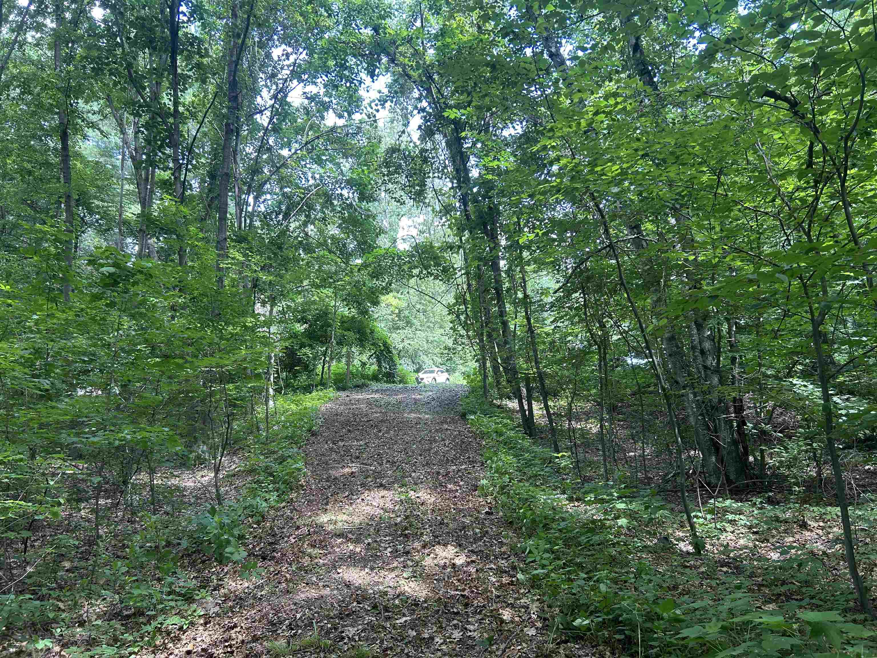 244 Mountain Road Property Photo 5