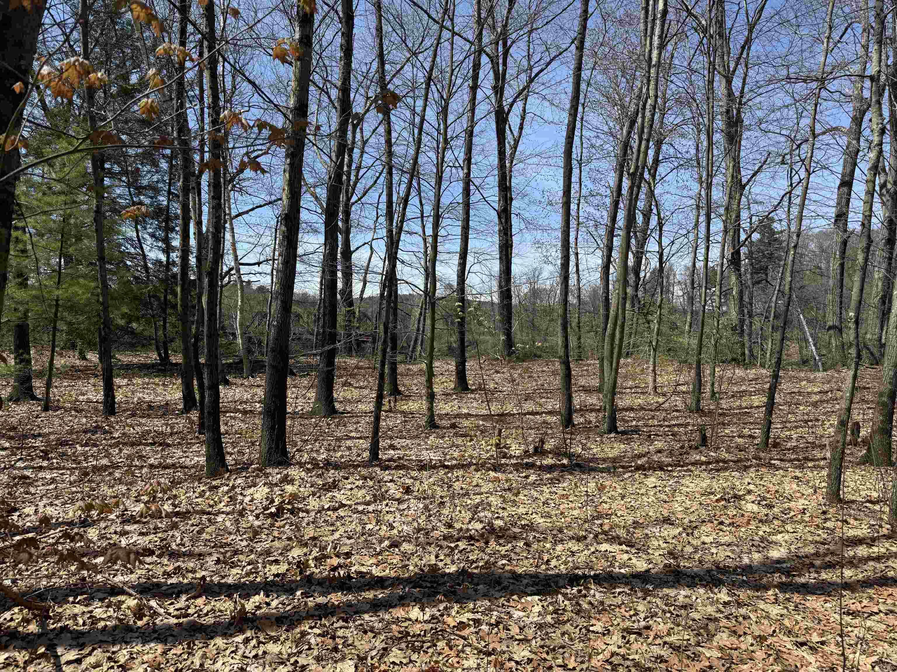 244 Mountain Road Property Photo 8