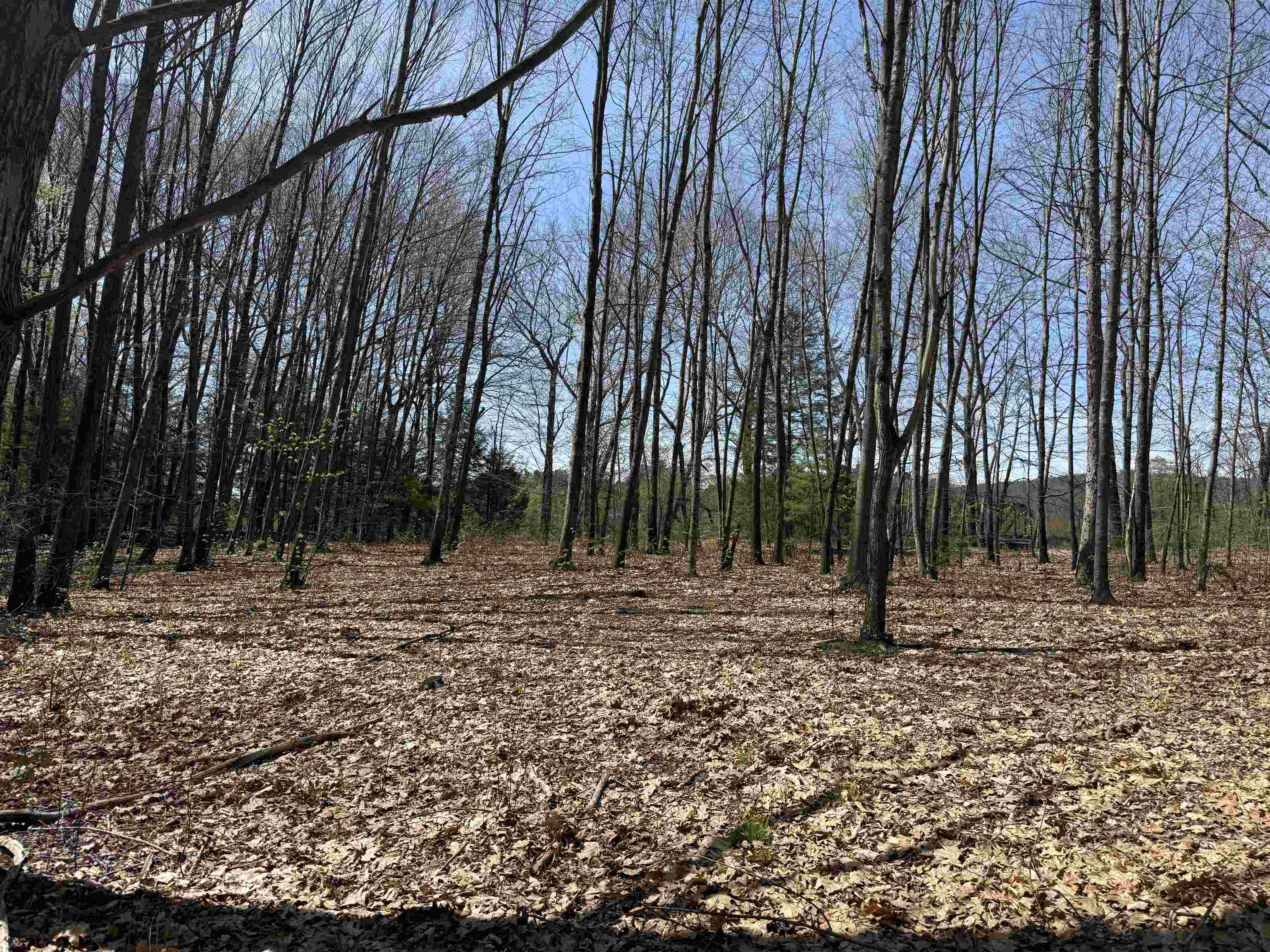 244 Mountain Road Property Photo 9