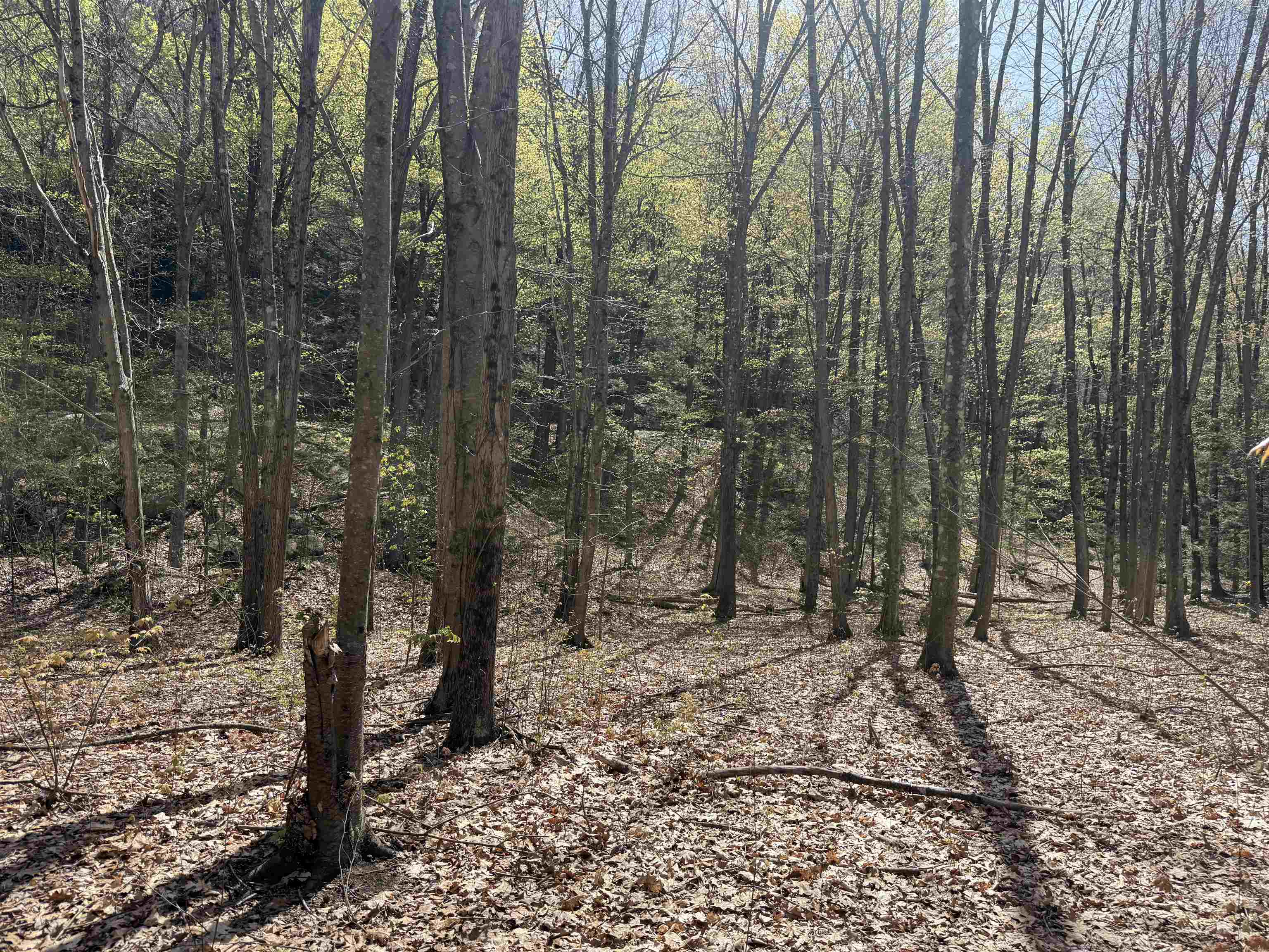 244 Mountain Road Property Photo 11