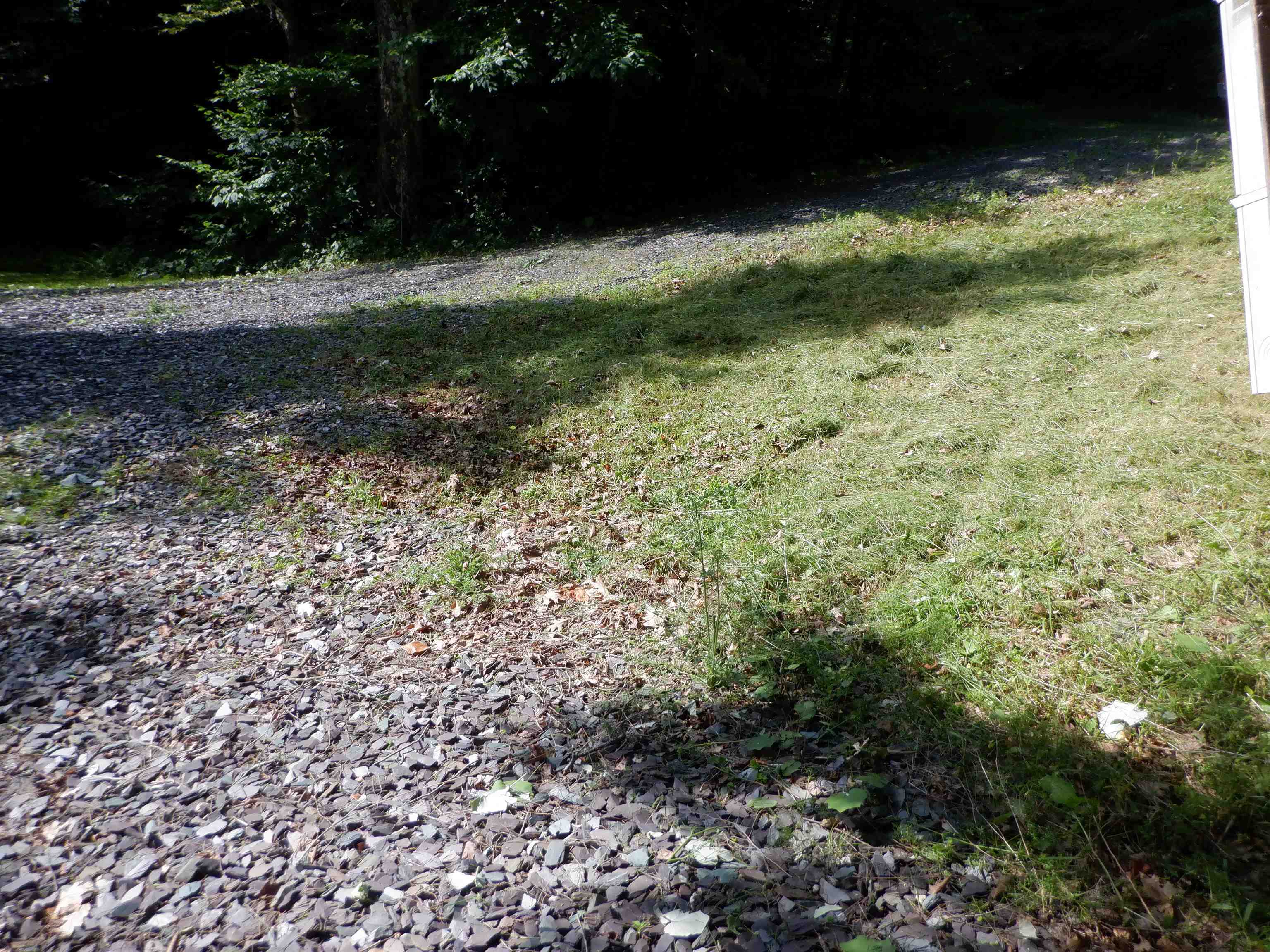 00 Perch Pond Road Property Photo 3