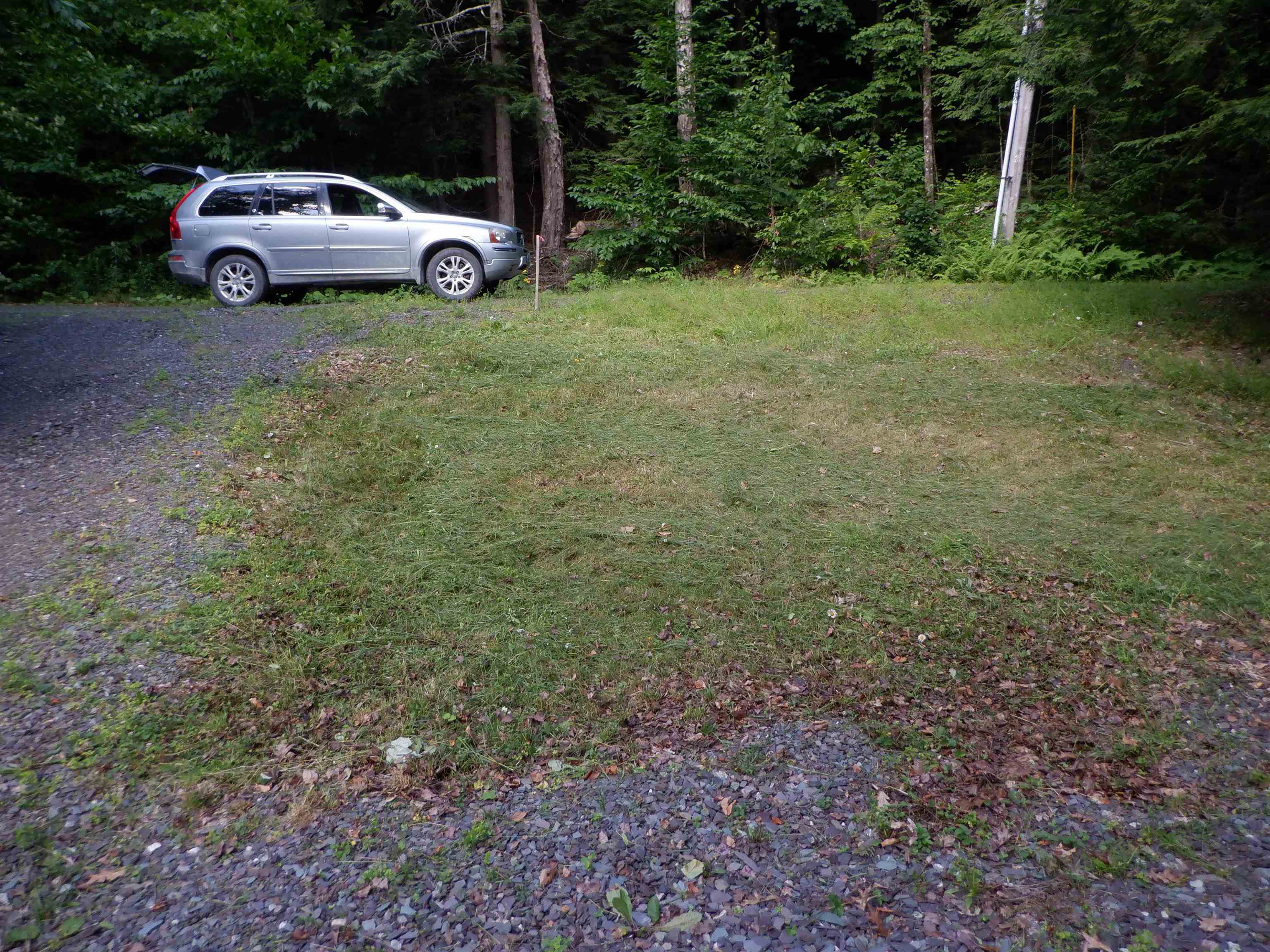 00 Perch Pond Road Property Photo 6