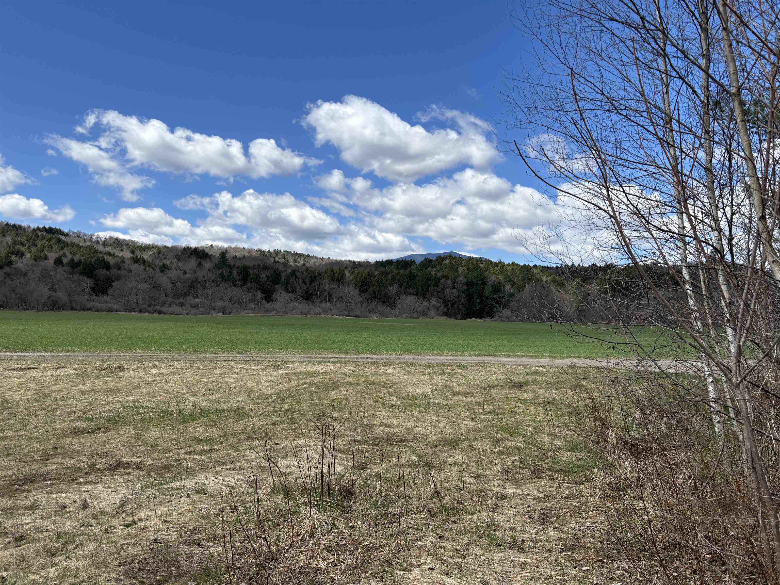 19 River Run Drive Property Photo 39