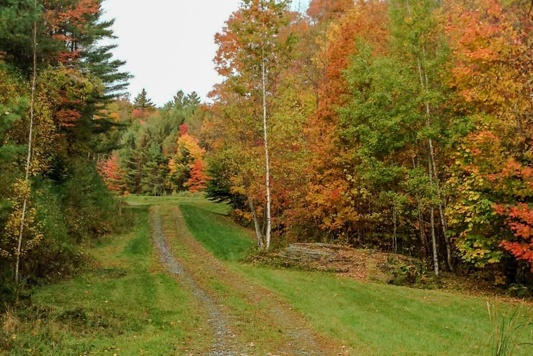 9671 Vt Route 12 Property Photo 7