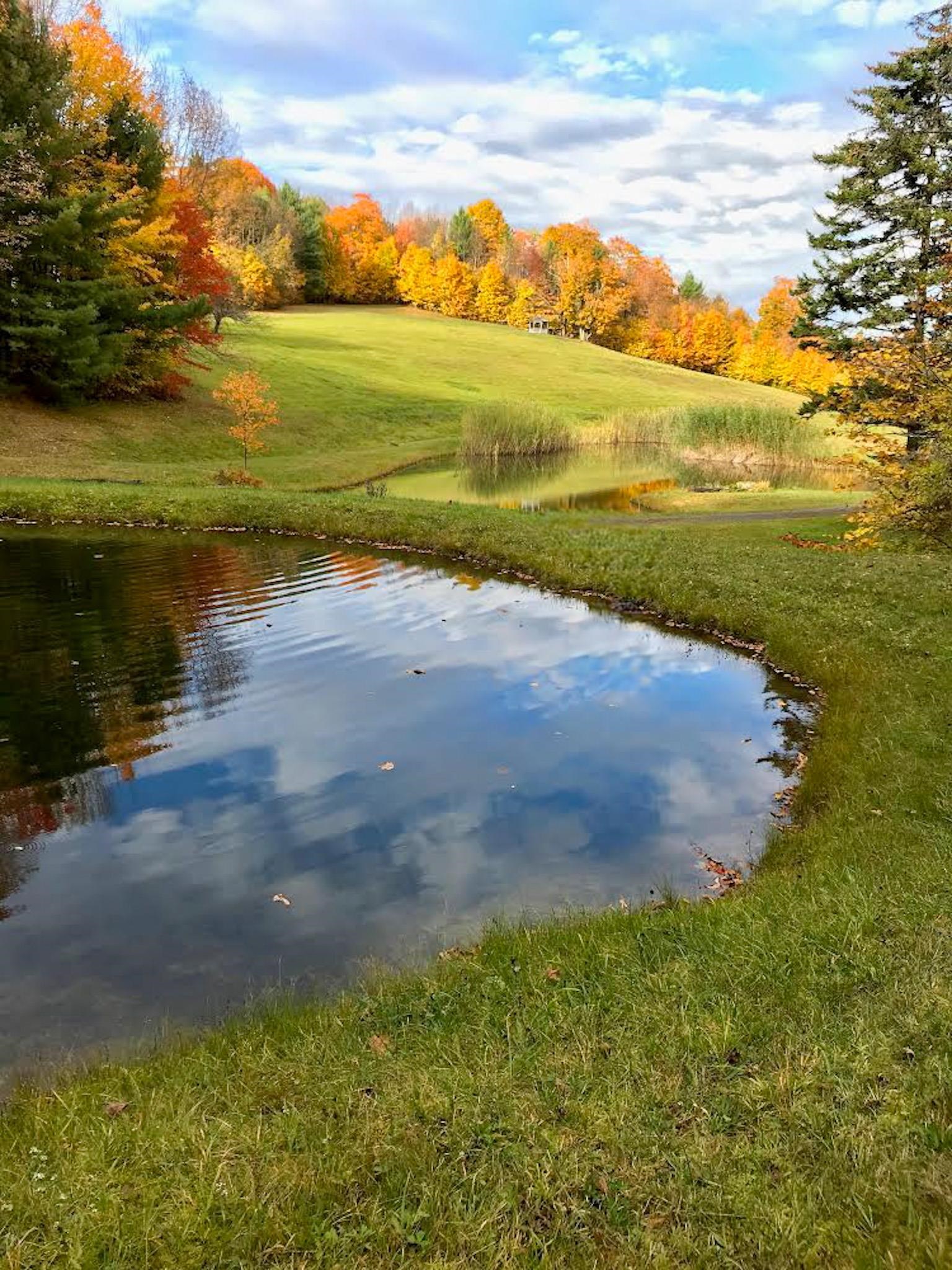 9671 Vt Route 12 Property Photo 8