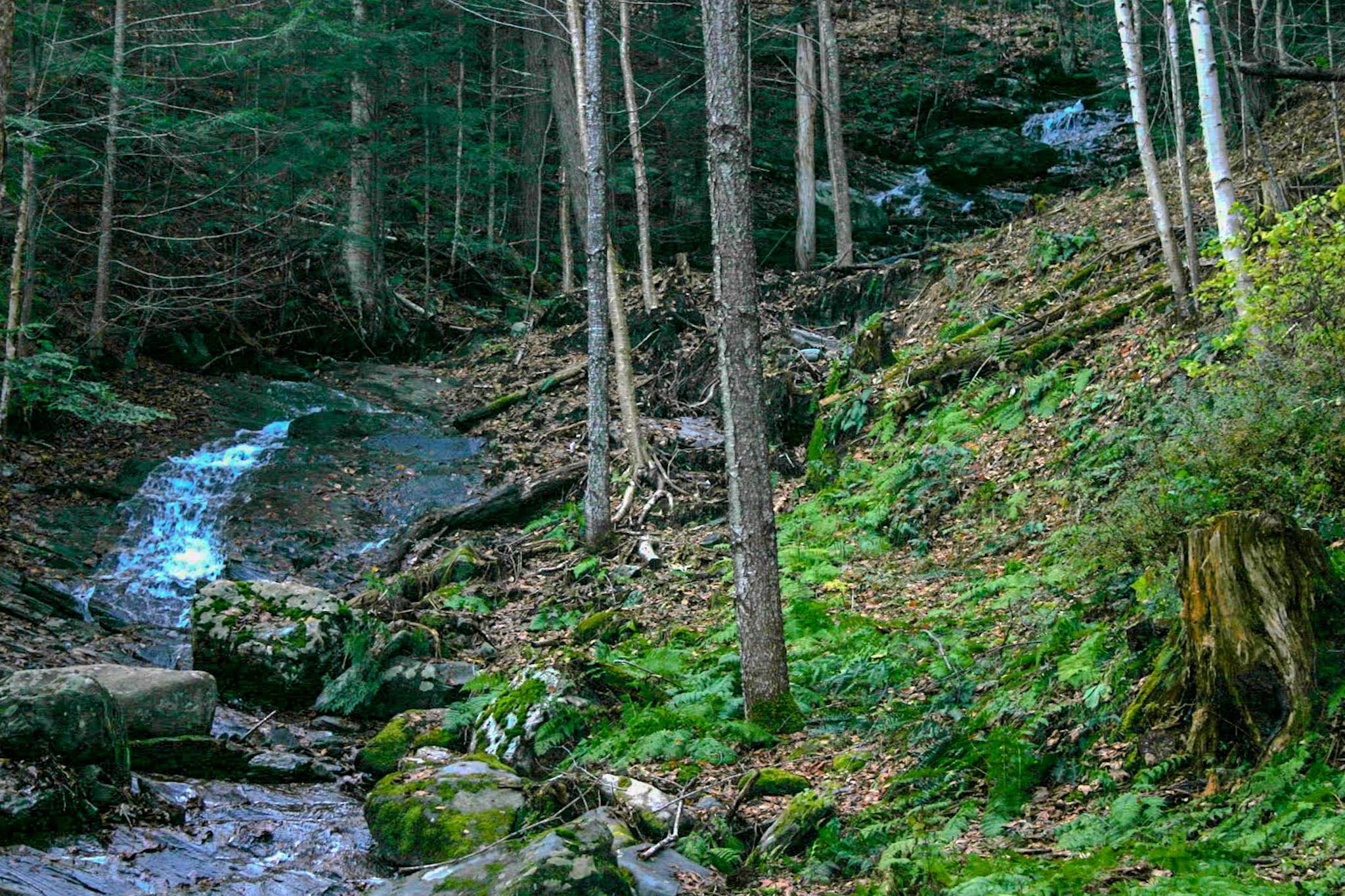 9671 Vt Route 12 Property Photo 9