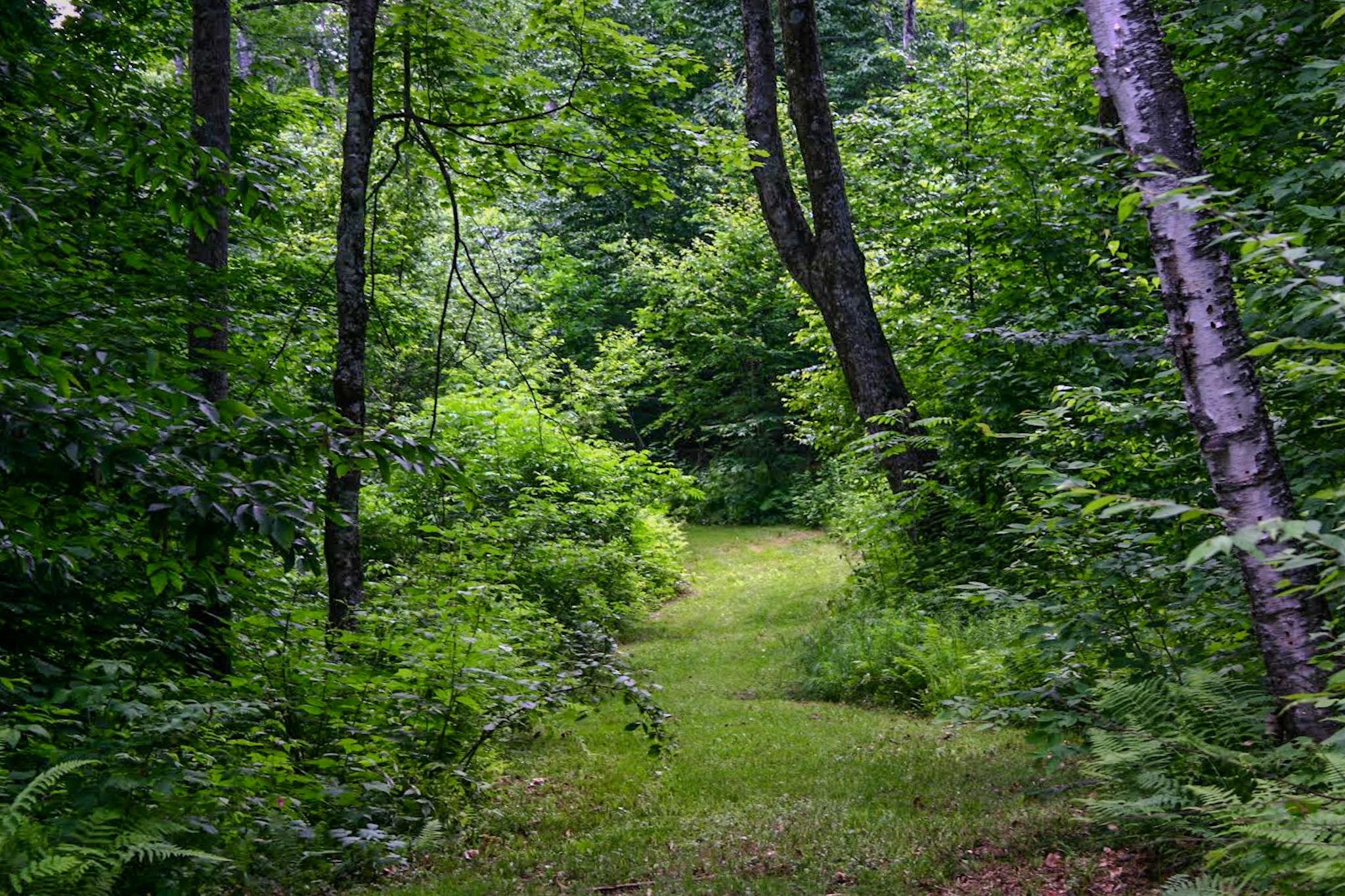 9671 Vt Route 12 Property Photo 10