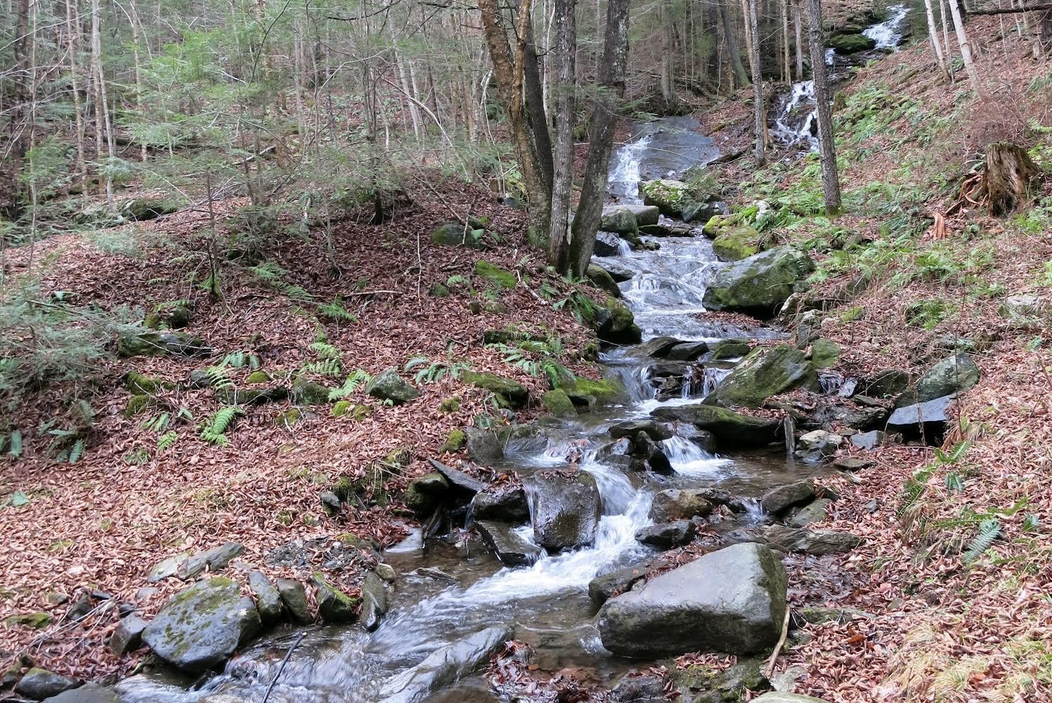 9671 Vt Route 12 Property Photo 11