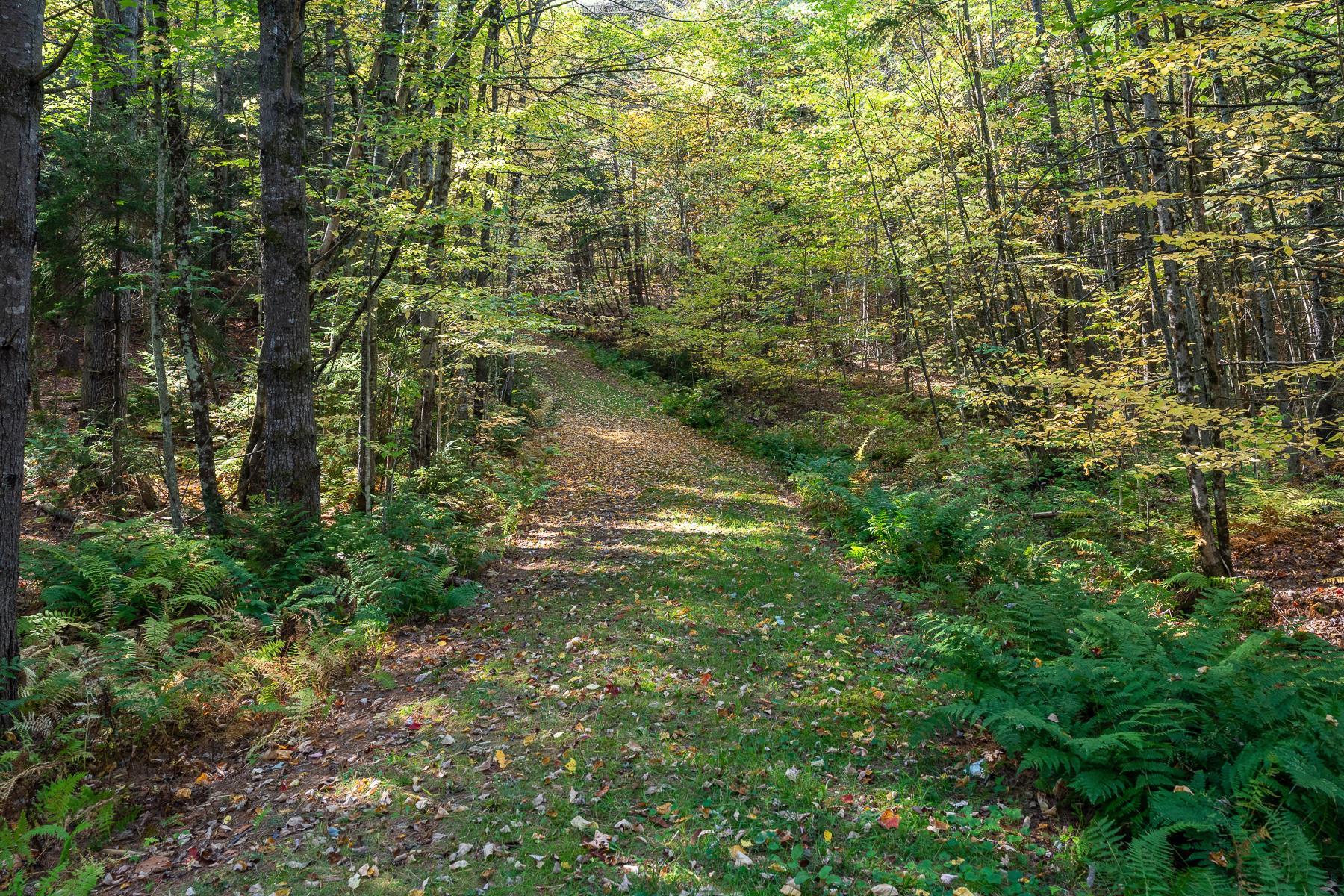 9671 Vt Route 12 Property Photo 37