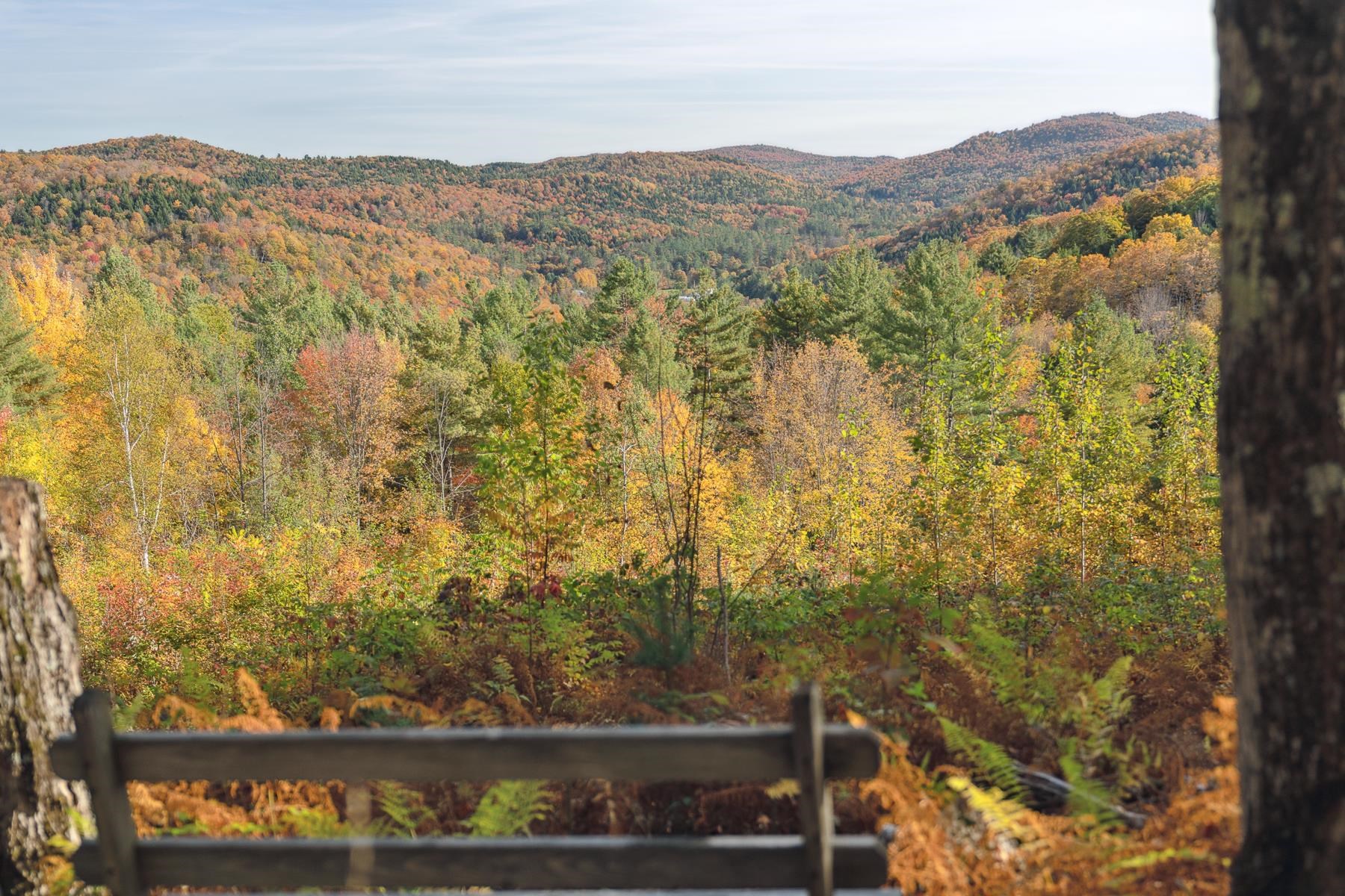 9671 Vt Route 12 Property Photo 45