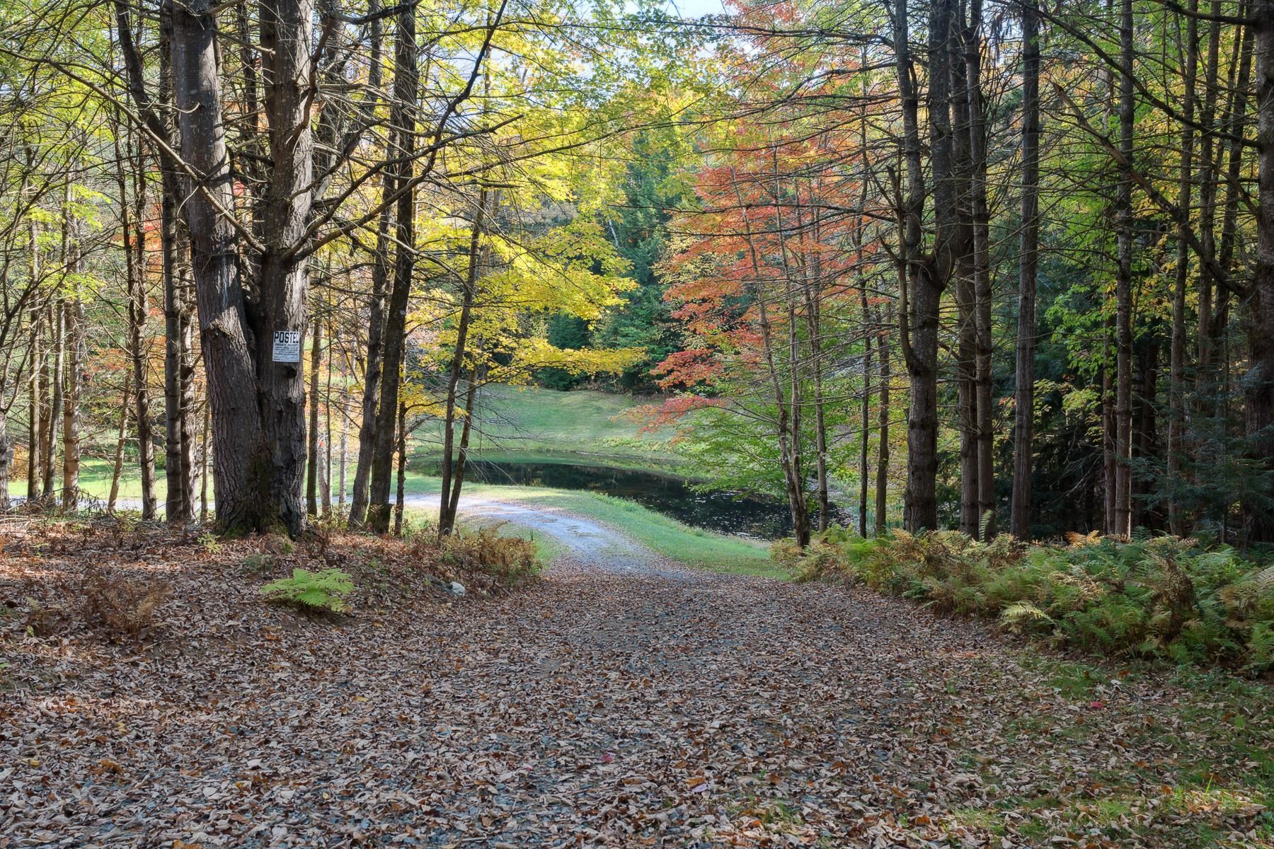 9671 Vt Route 12 Property Photo 46