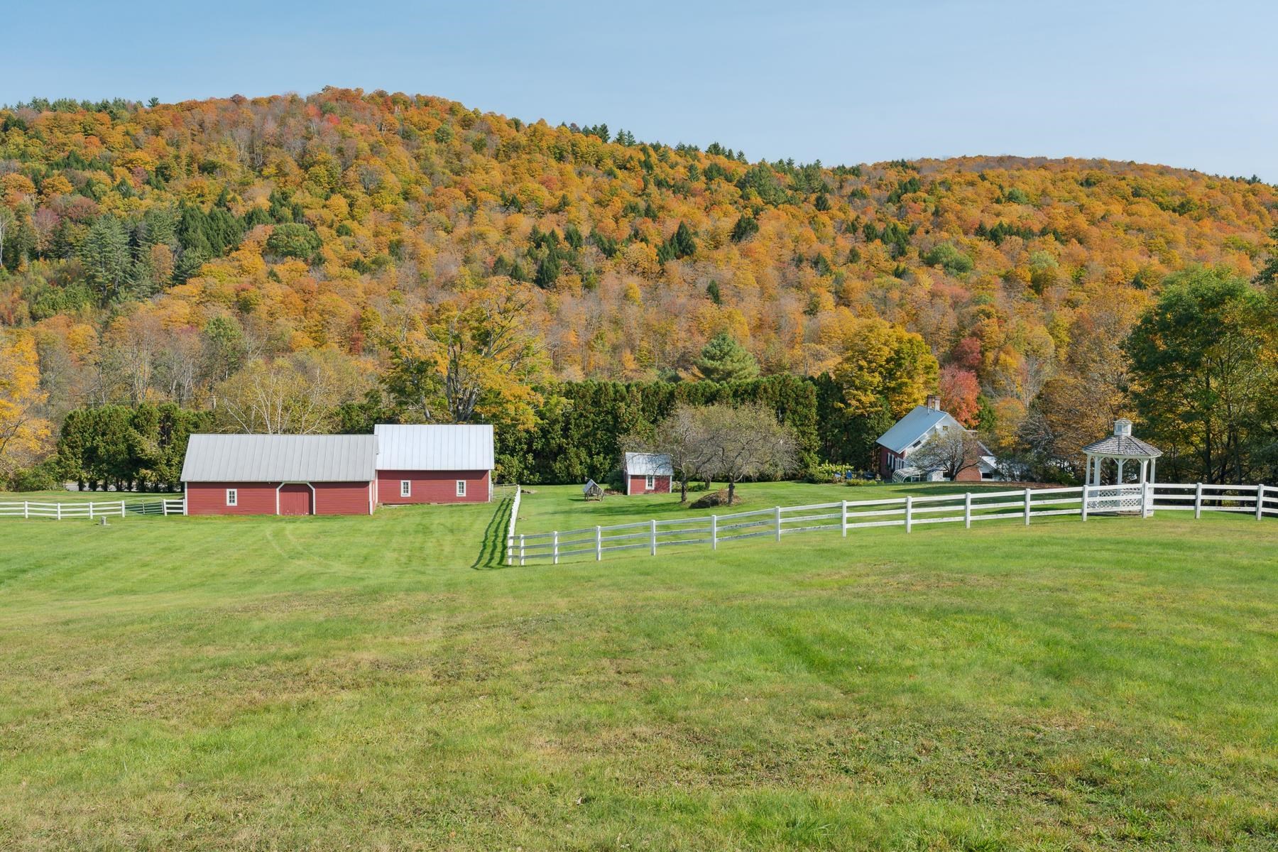 9671 Vt Route 12 Property Photo 49