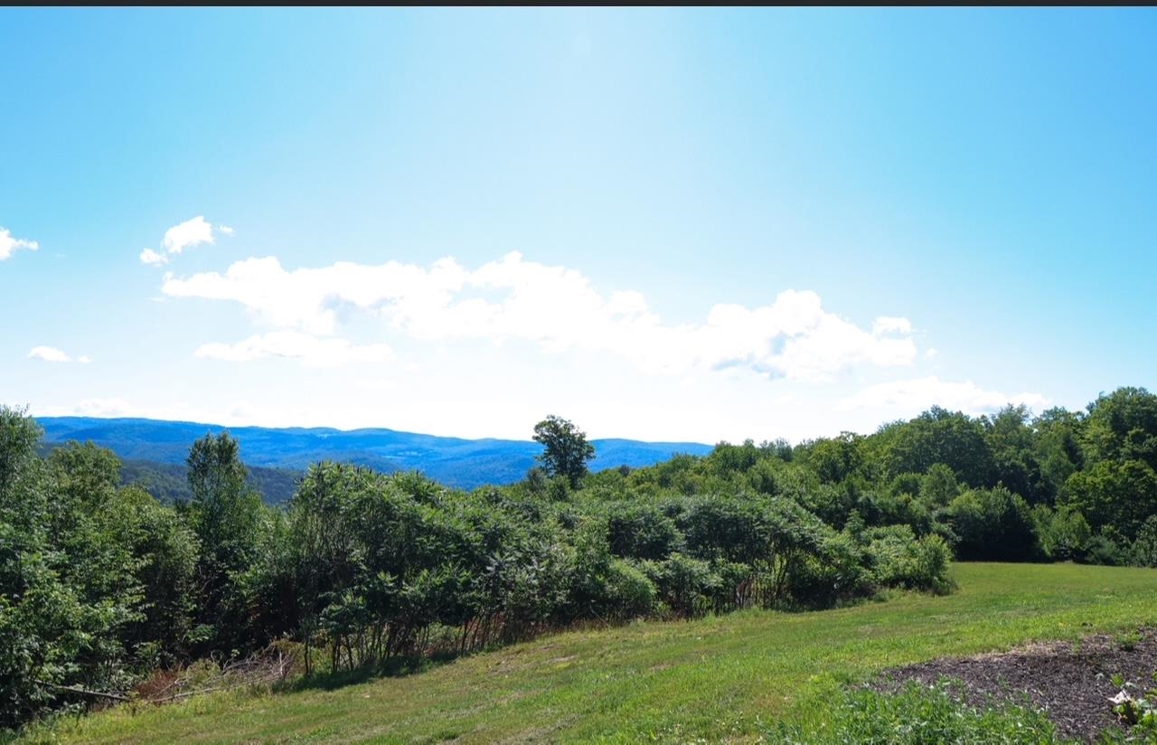 167 Ward Hill Road Property Photo 4