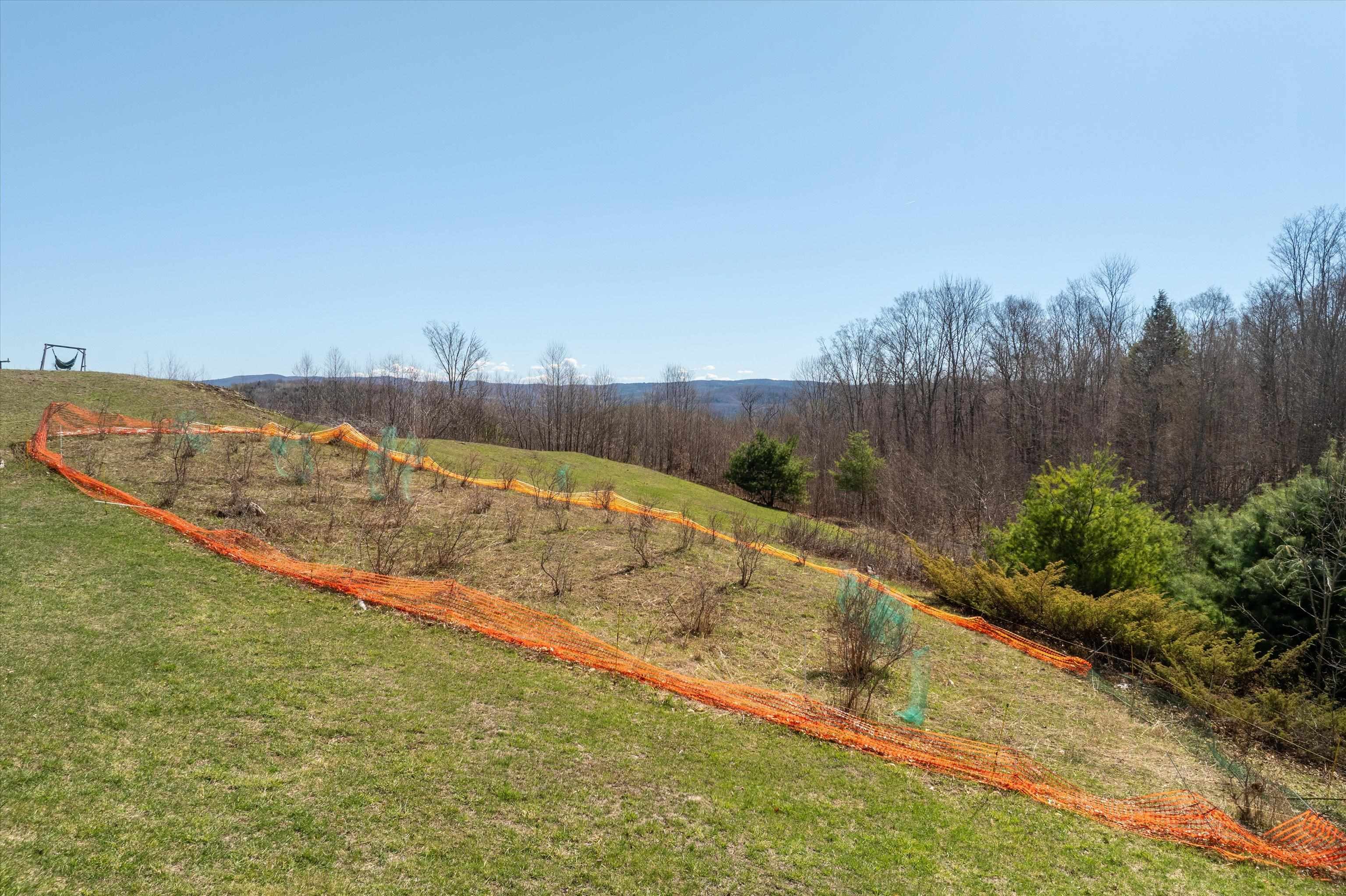 167 Ward Hill Road Property Photo 50