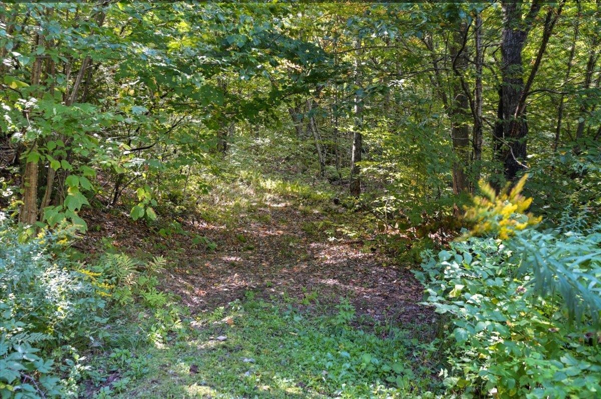 912 Deer Run Lane Property Photo 21