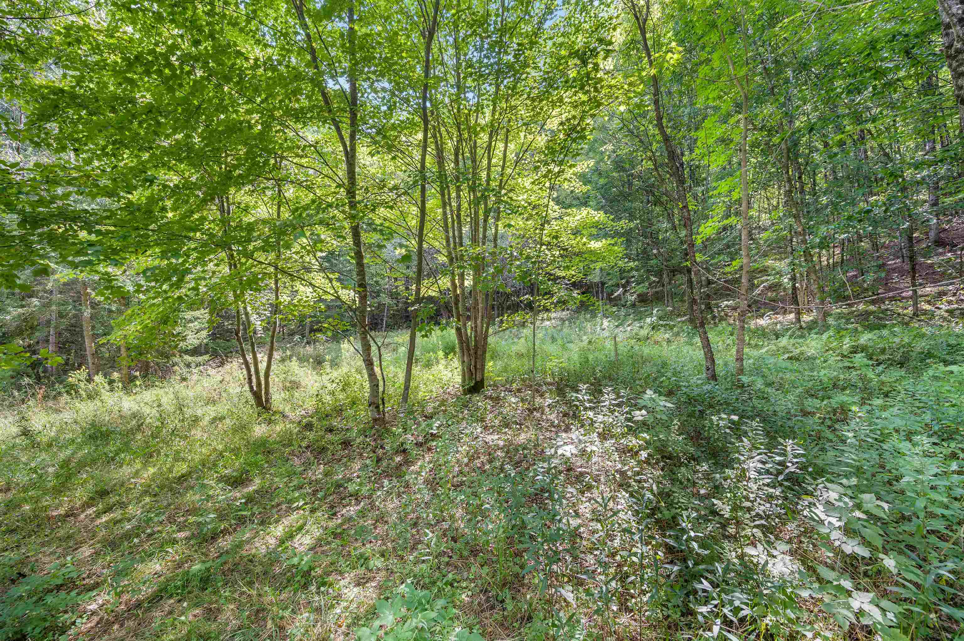 6&8 Barnett Road Property Photo 20